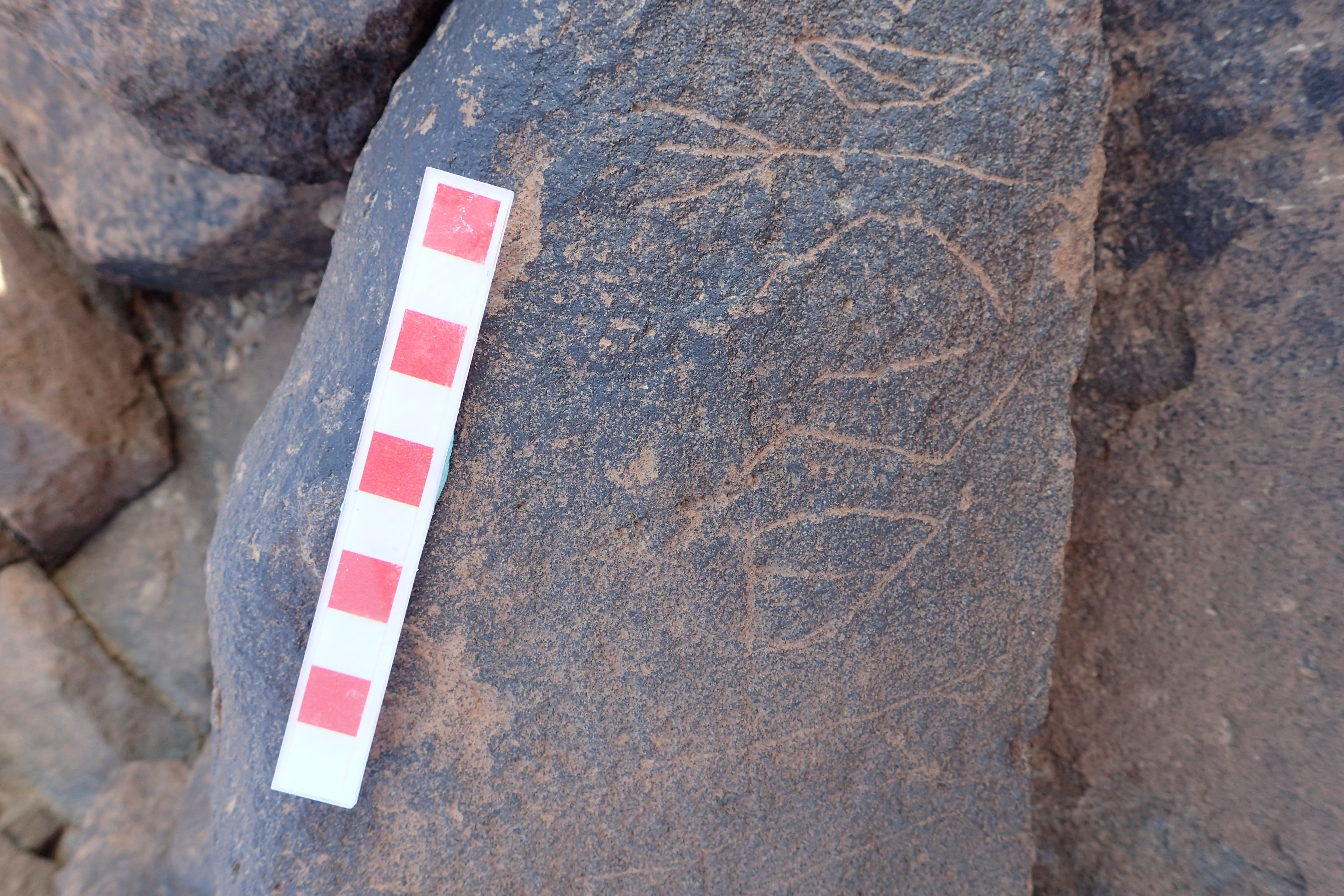 Image of siglum BES20 1528