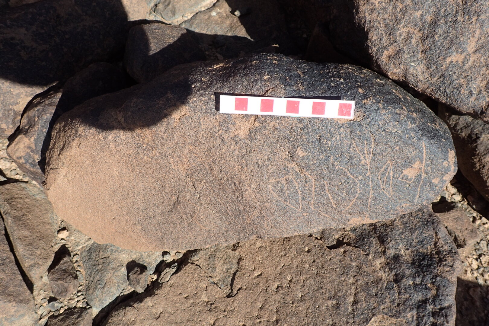 Image of siglum BES20 1528