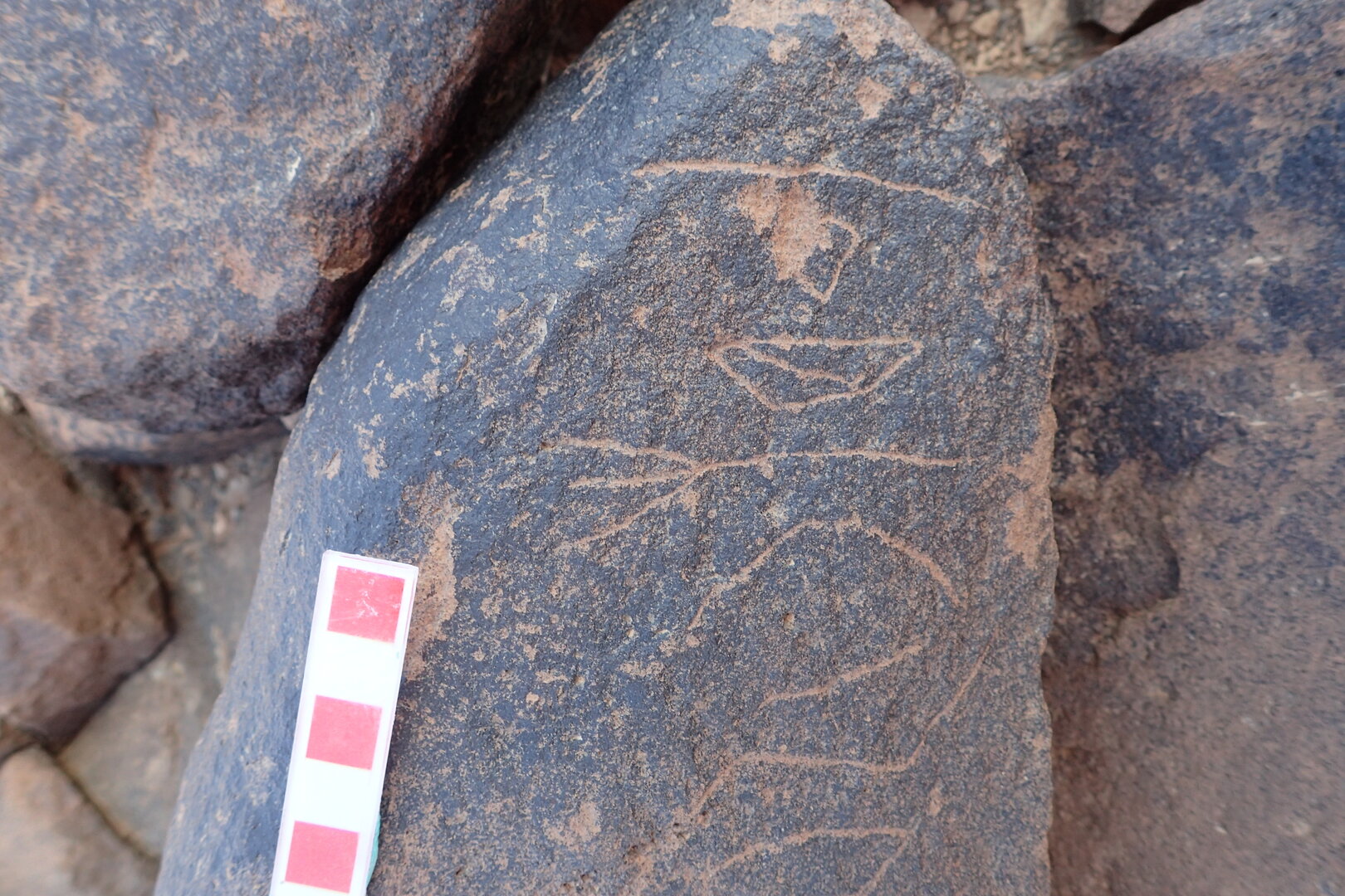 Image of siglum BES20 1528