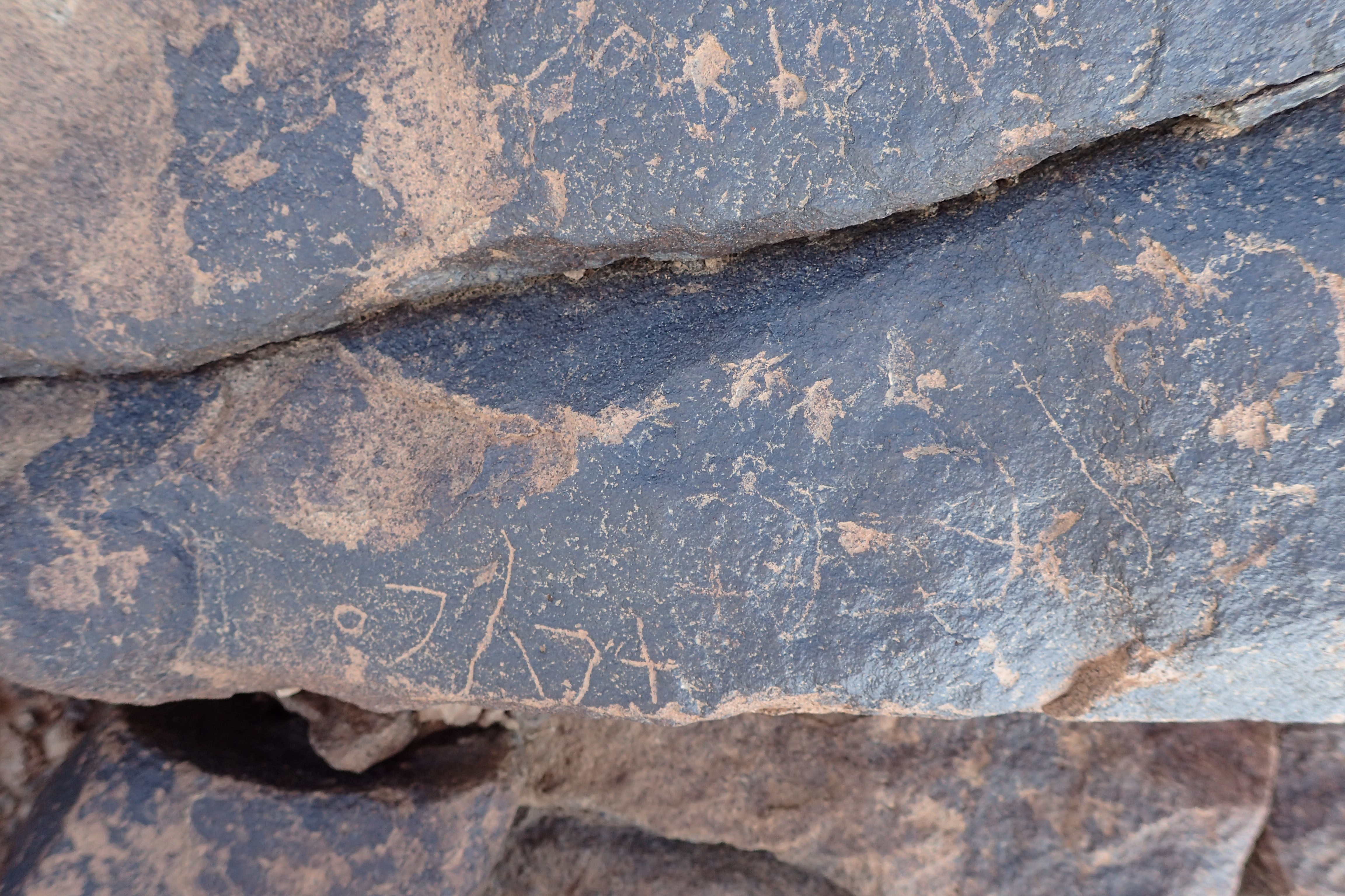 Image of siglum BES20 1529