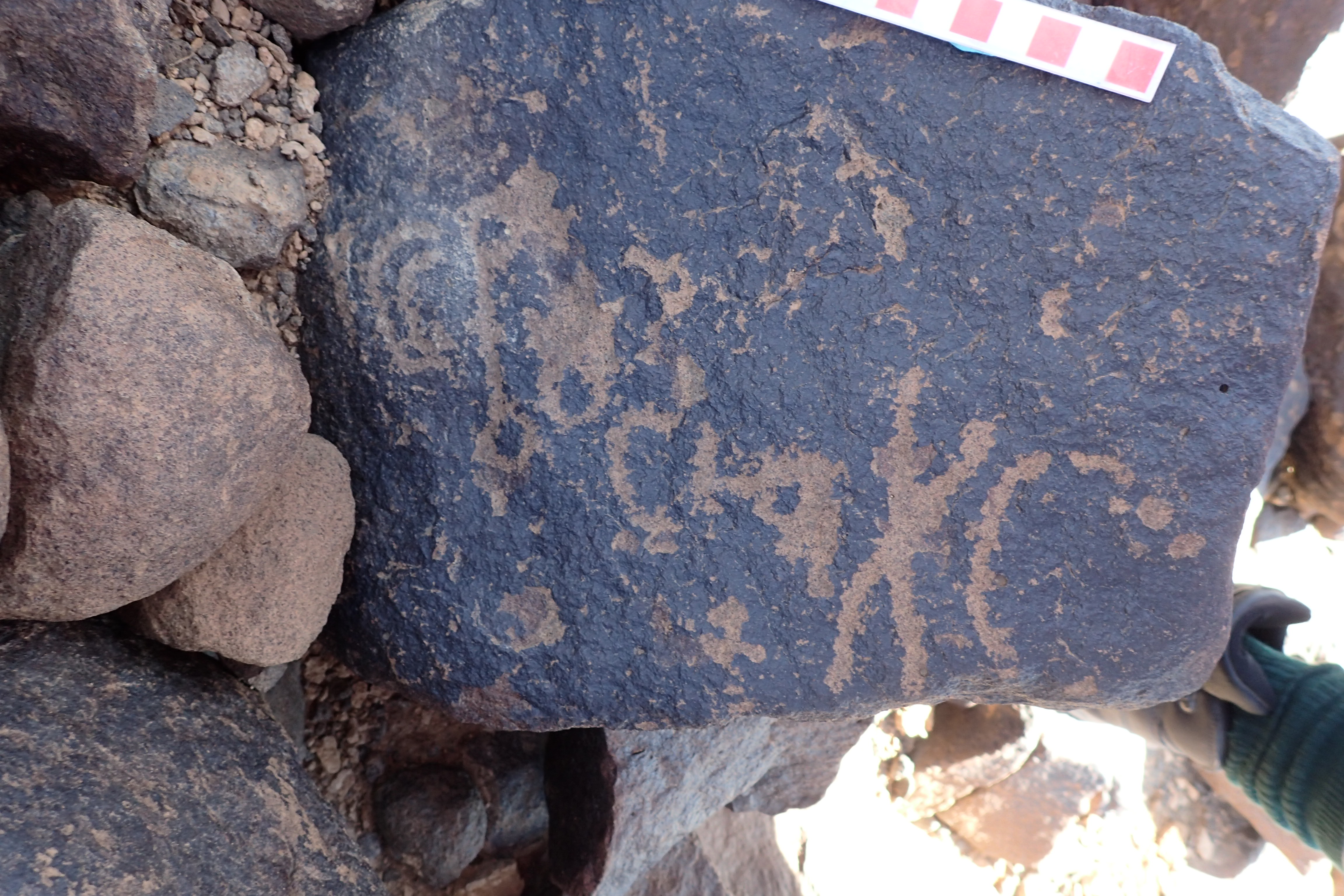 Image of siglum BES20 1531