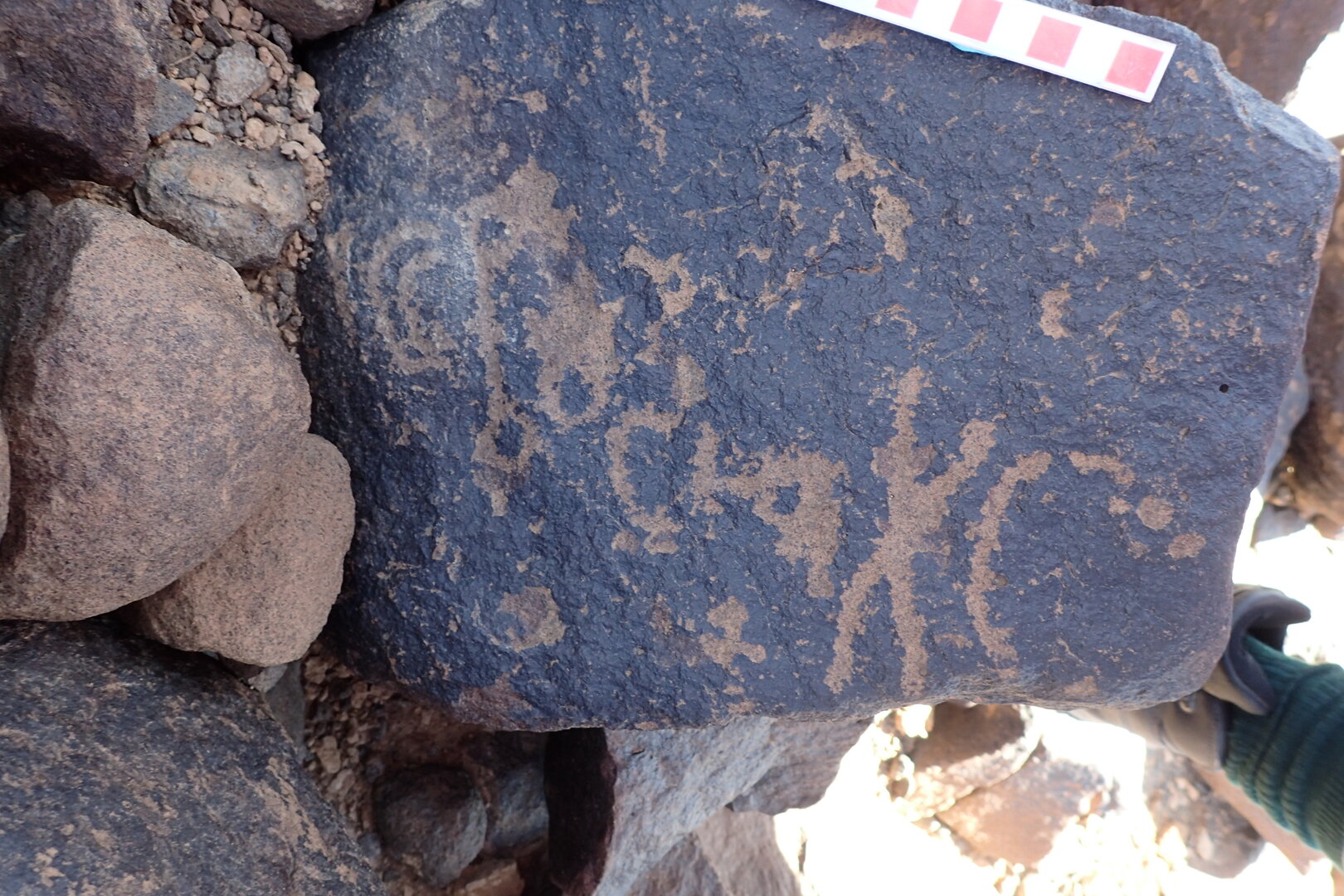 Image of siglum BES20 1531
