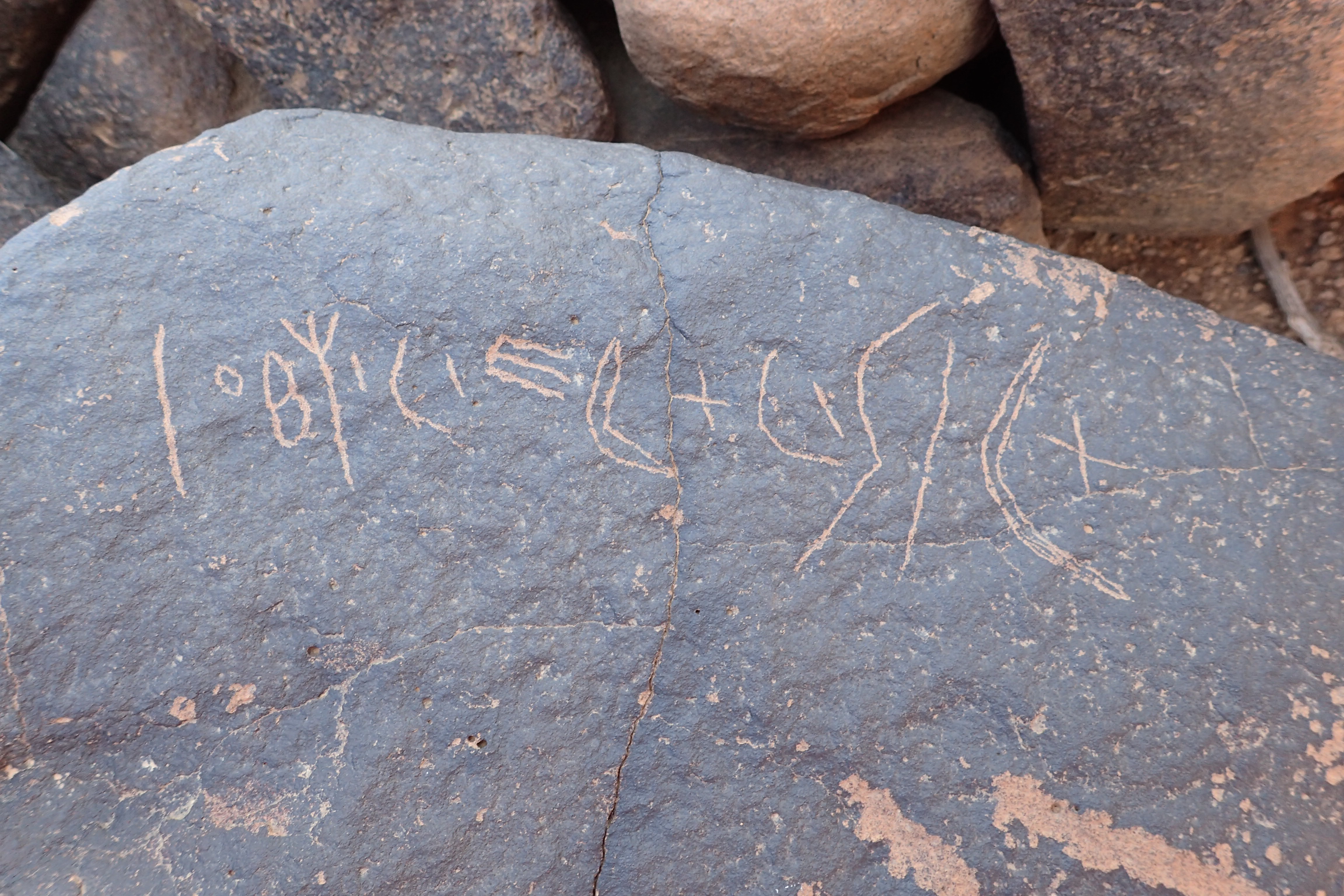 Image of siglum BES20 1533