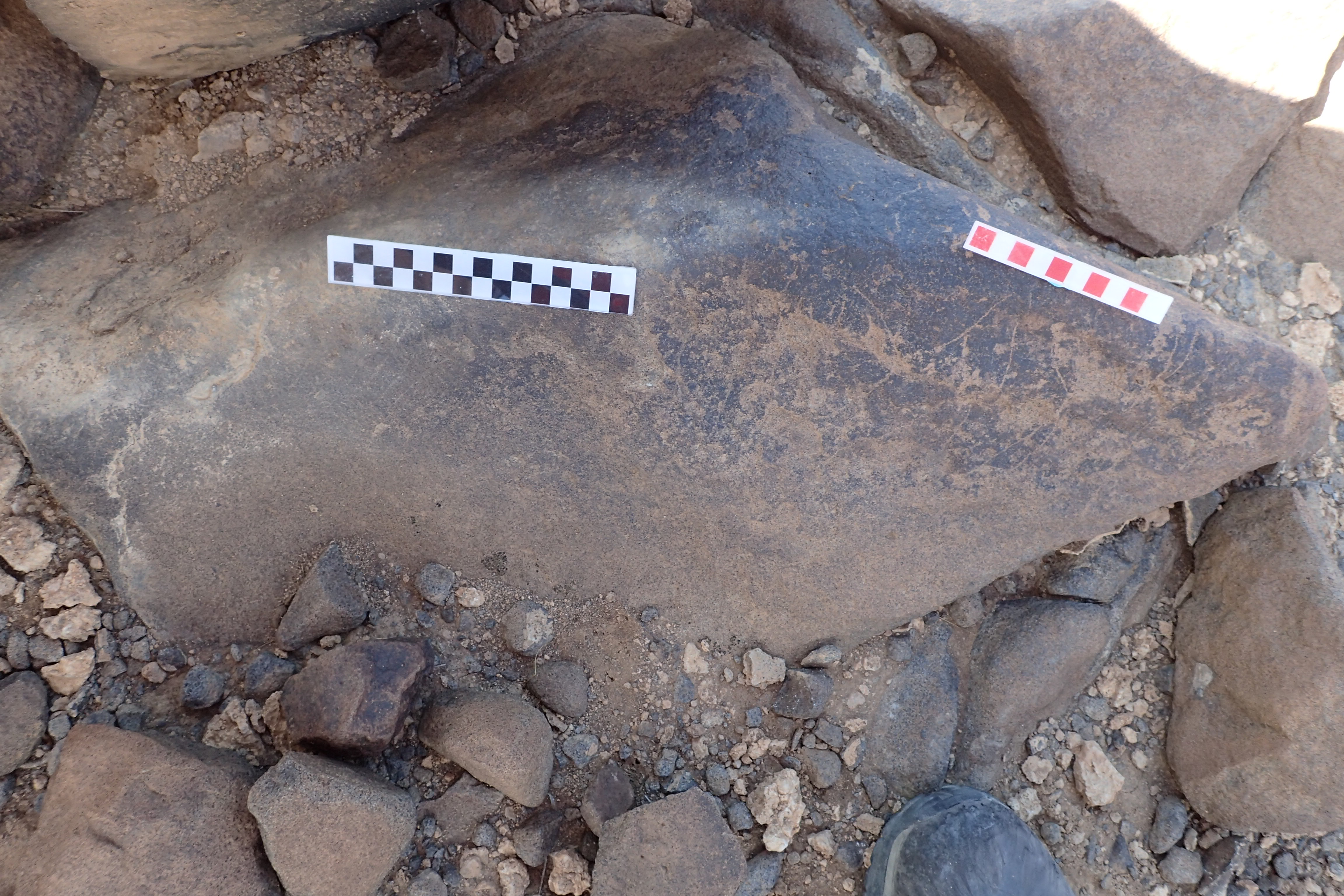 Image of siglum BES20 1534