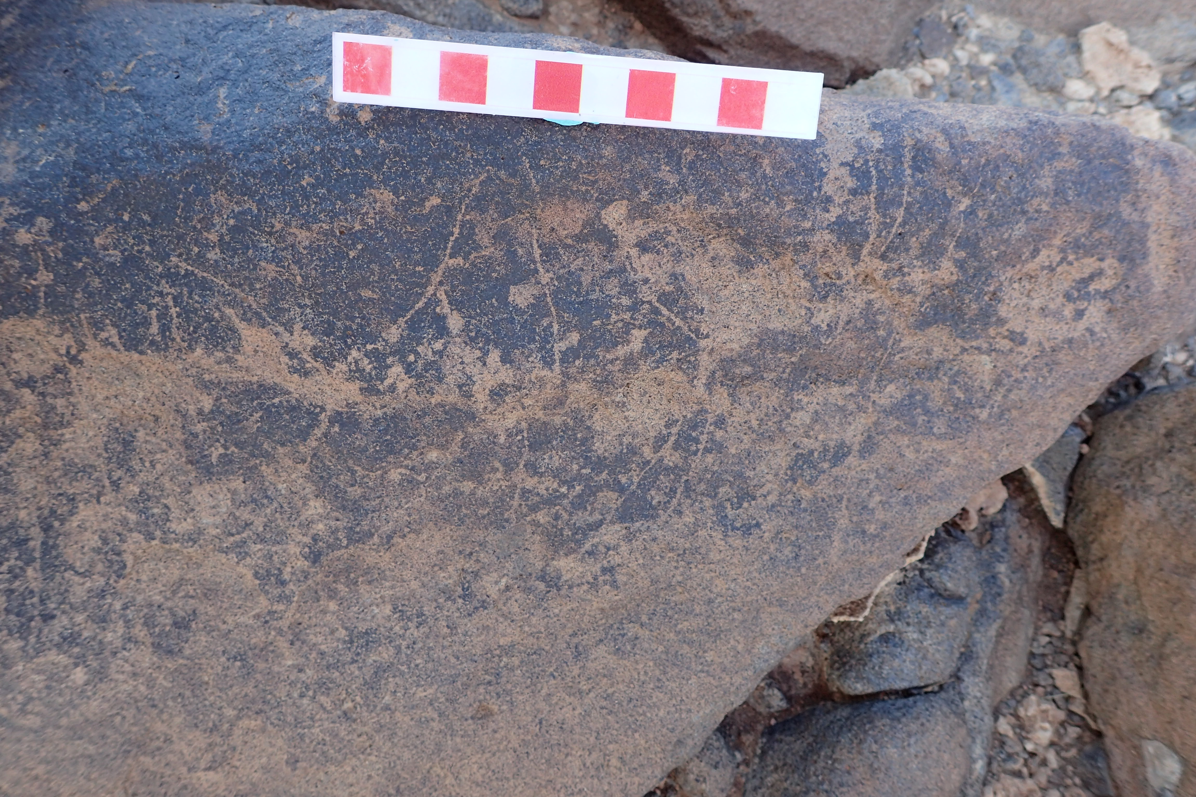 Image of siglum BES20 1534