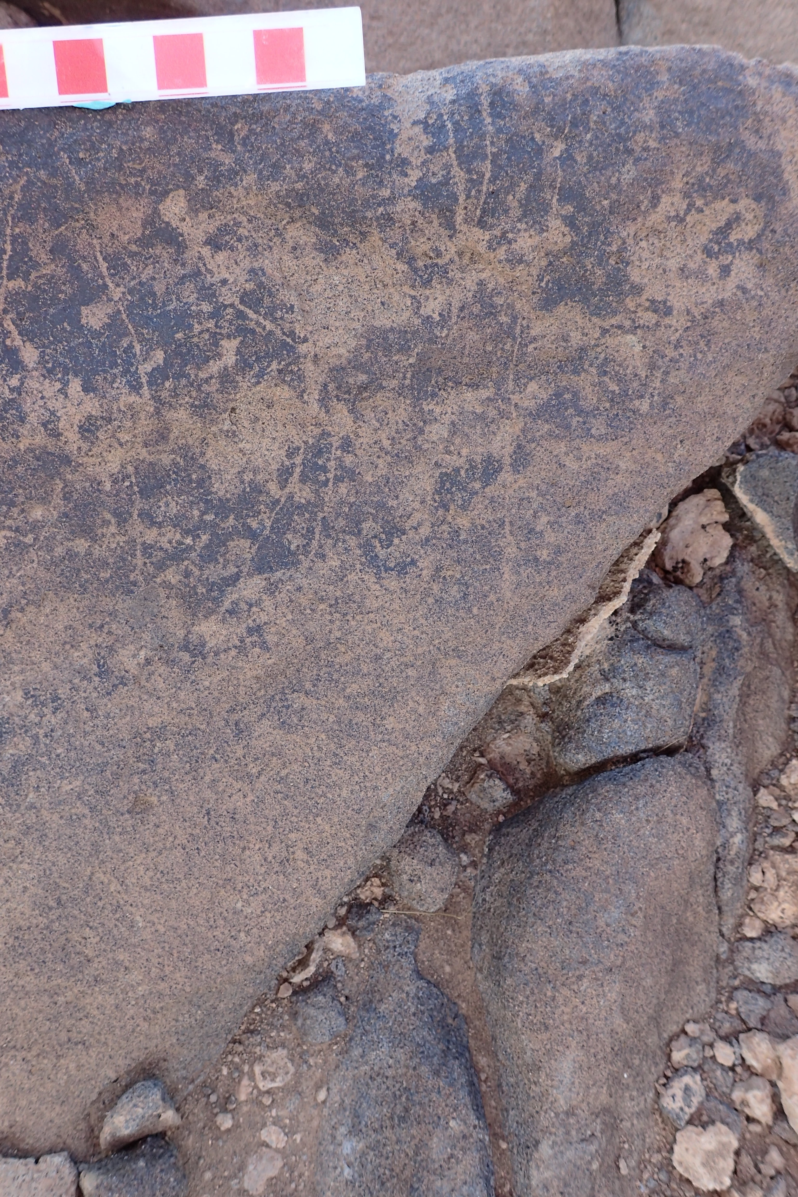 Image of siglum BES20 1534