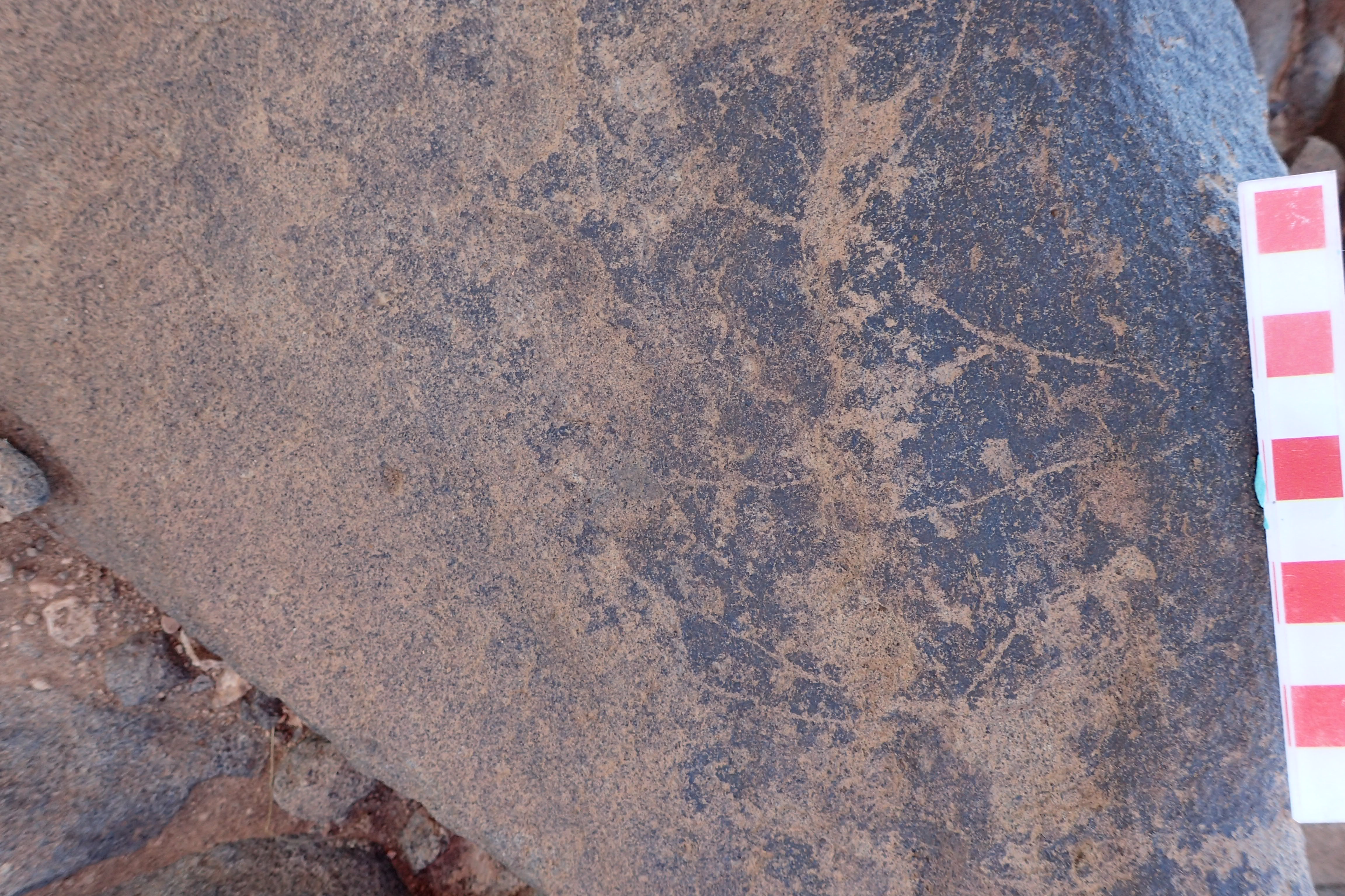 Image of siglum BES20 1534