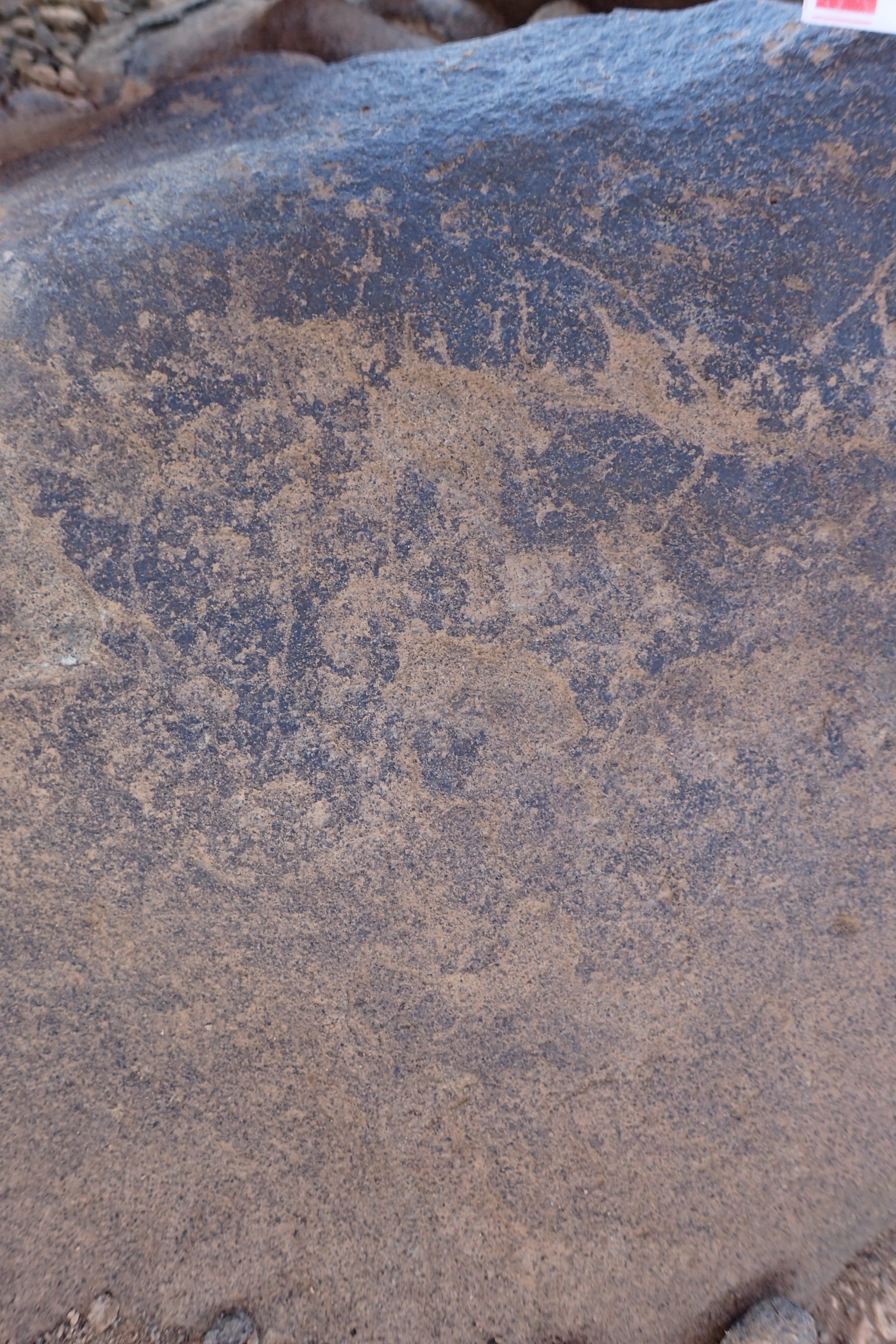 Image of siglum BES20 1534