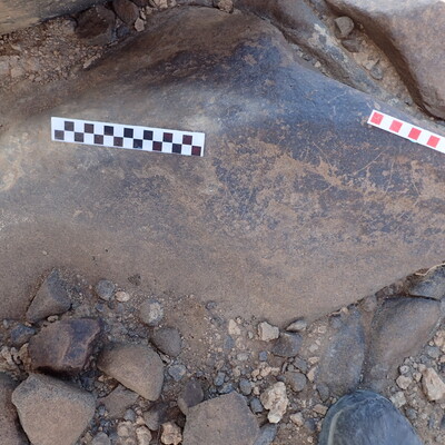 Image of siglum BES20 1534