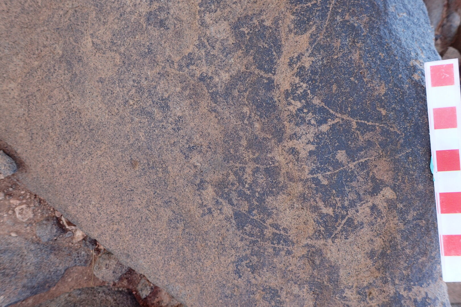 Image of siglum BES20 1534
