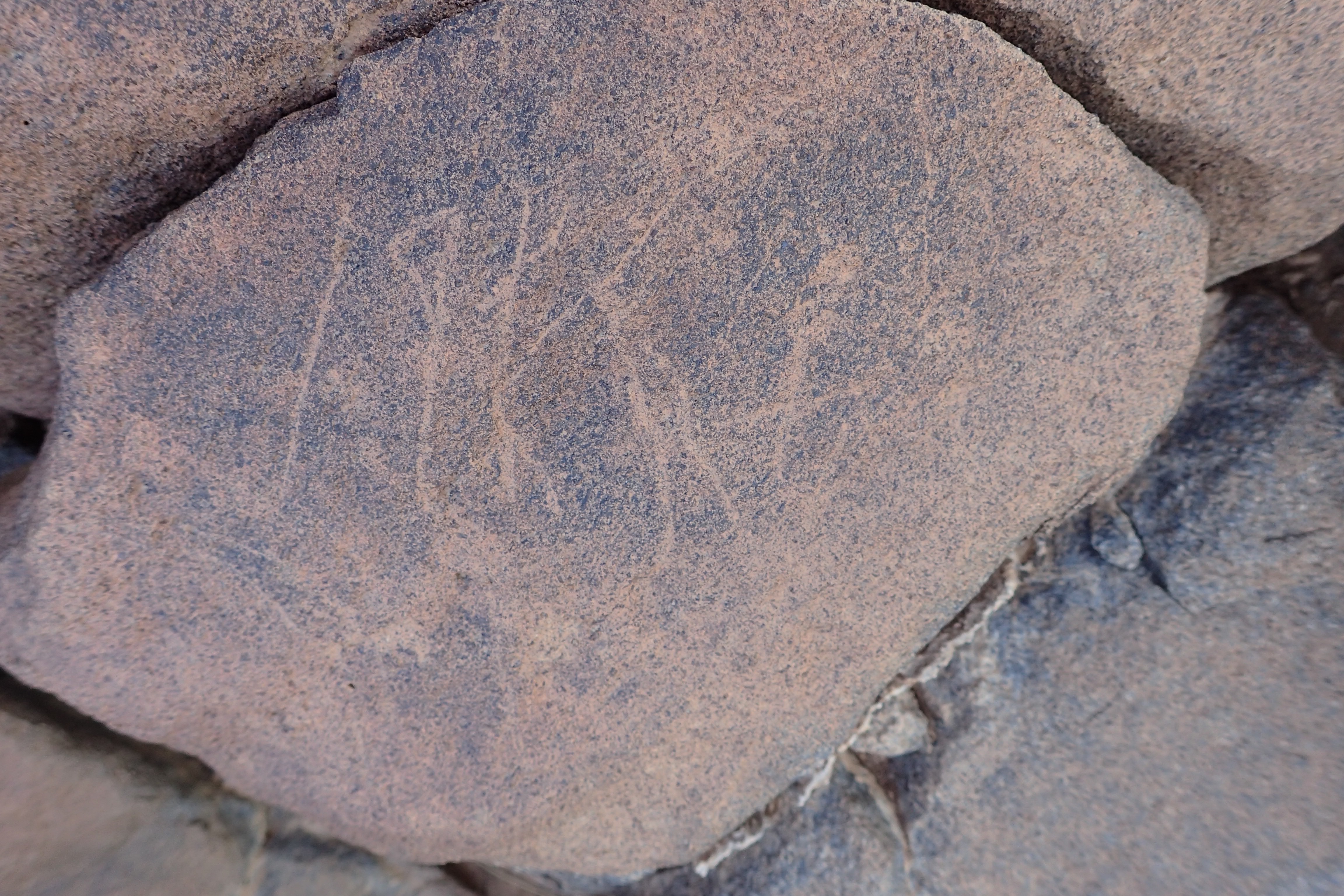 Image of siglum BES20 1535