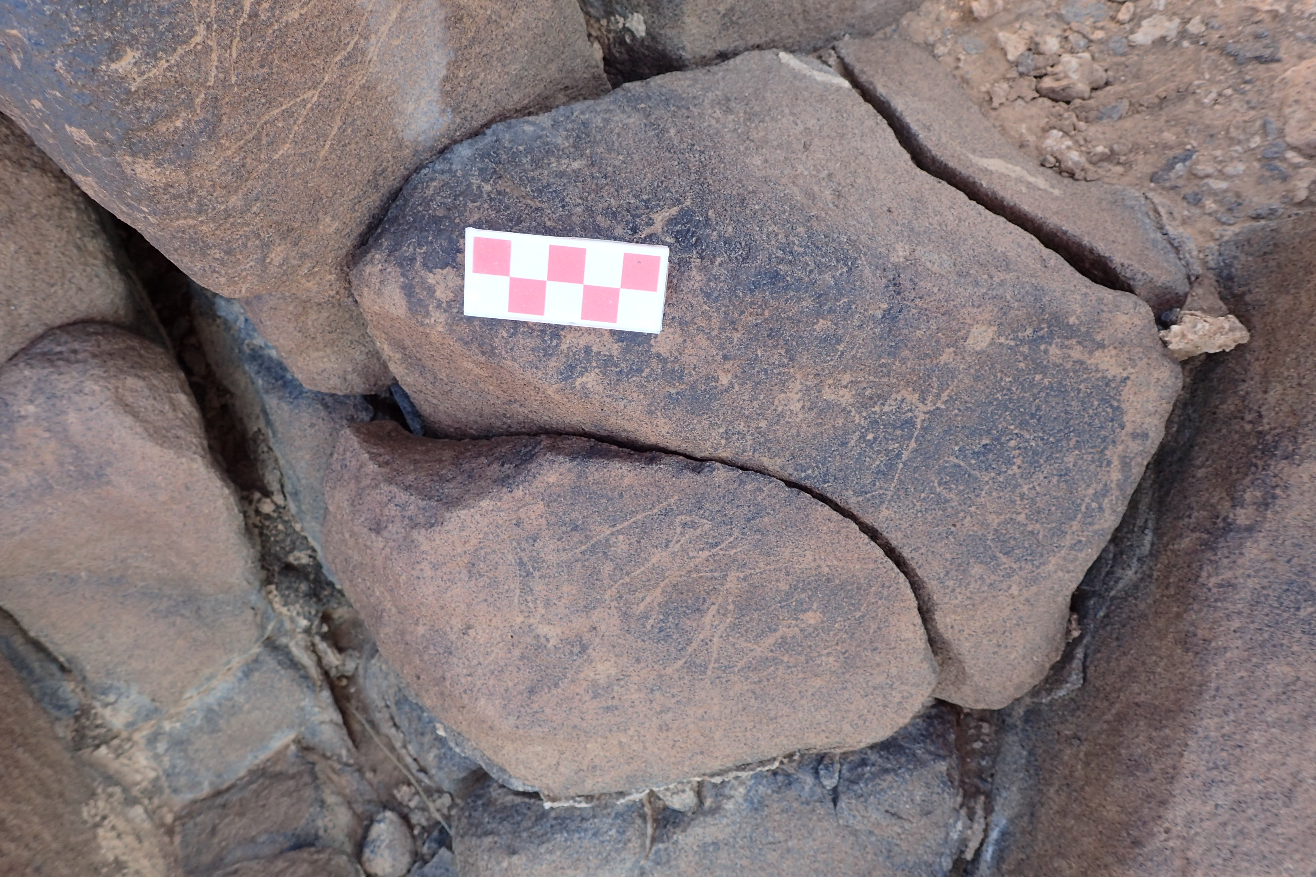 Image of siglum BES20 1536