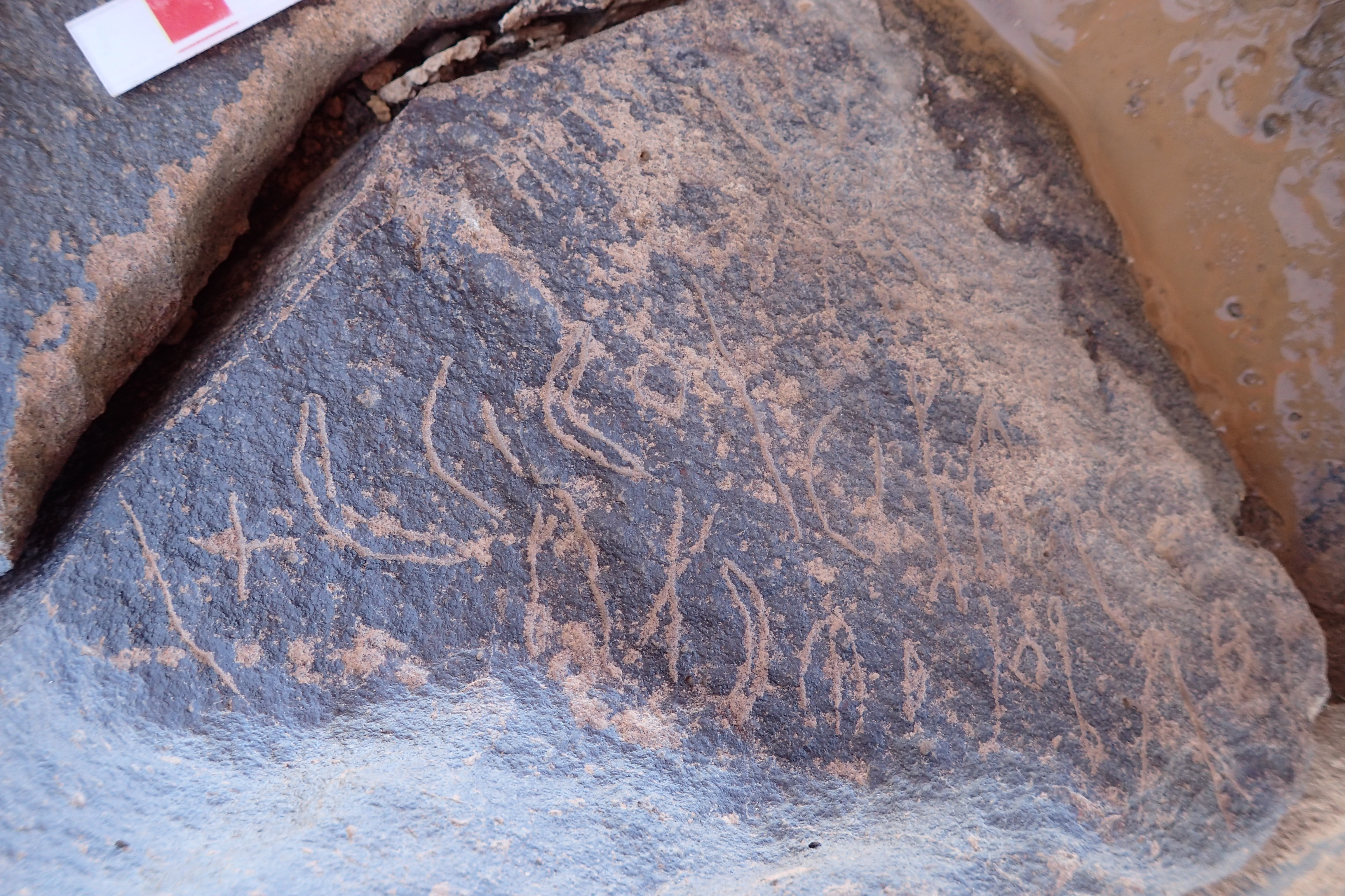 Image of siglum BES20 1545