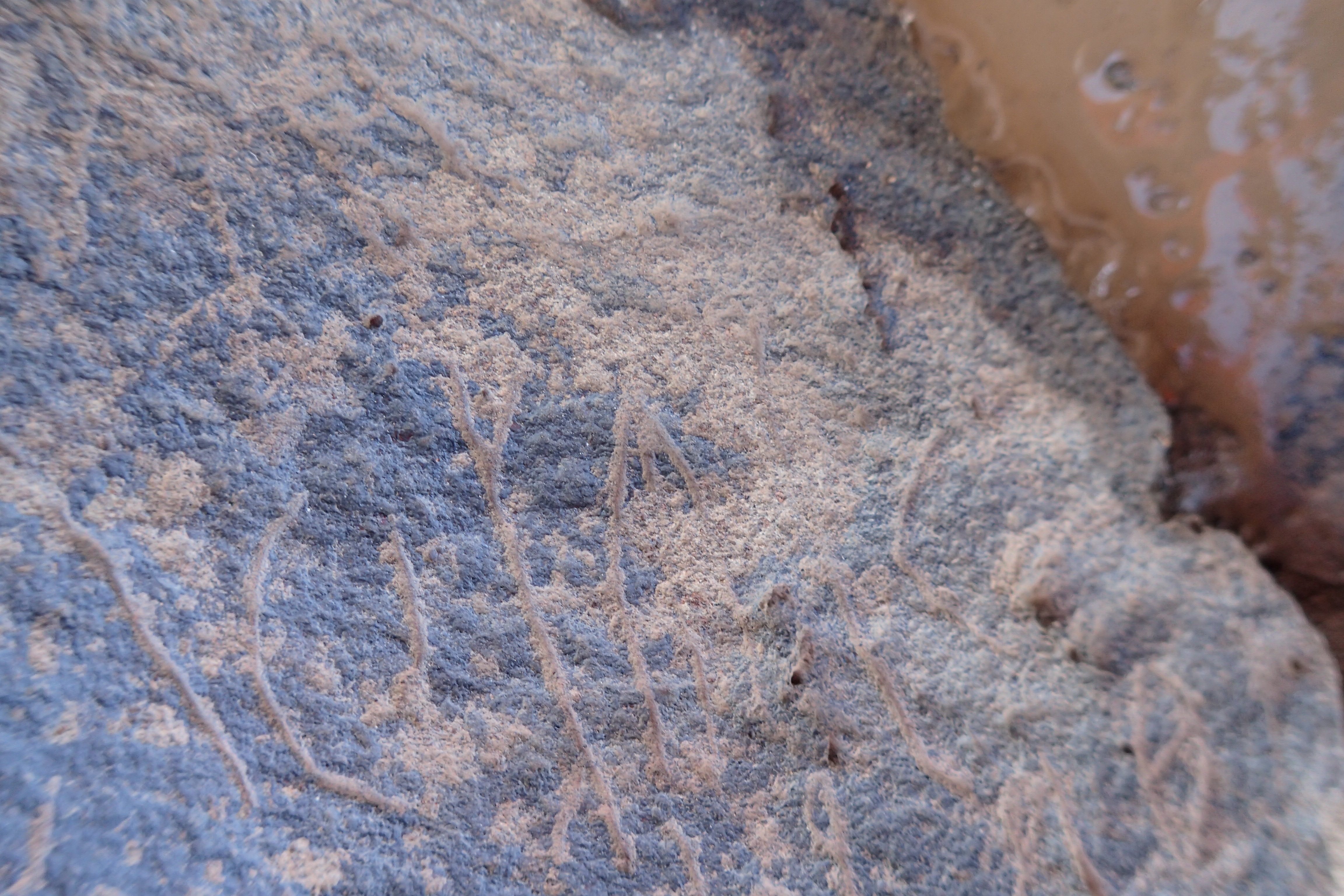 Image of siglum BES20 1545