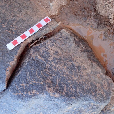 Image of siglum BES20 1545