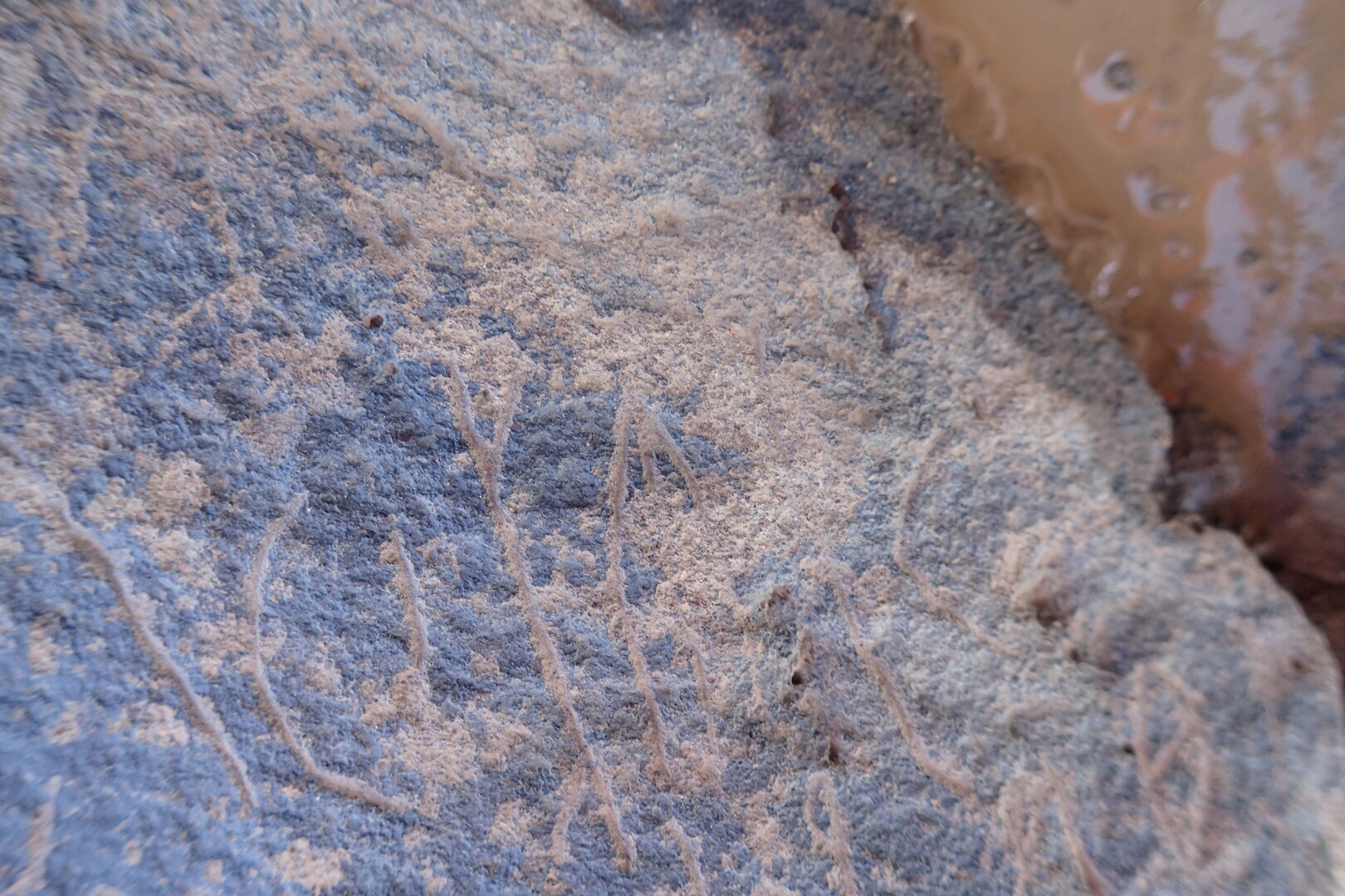 Image of siglum BES20 1545