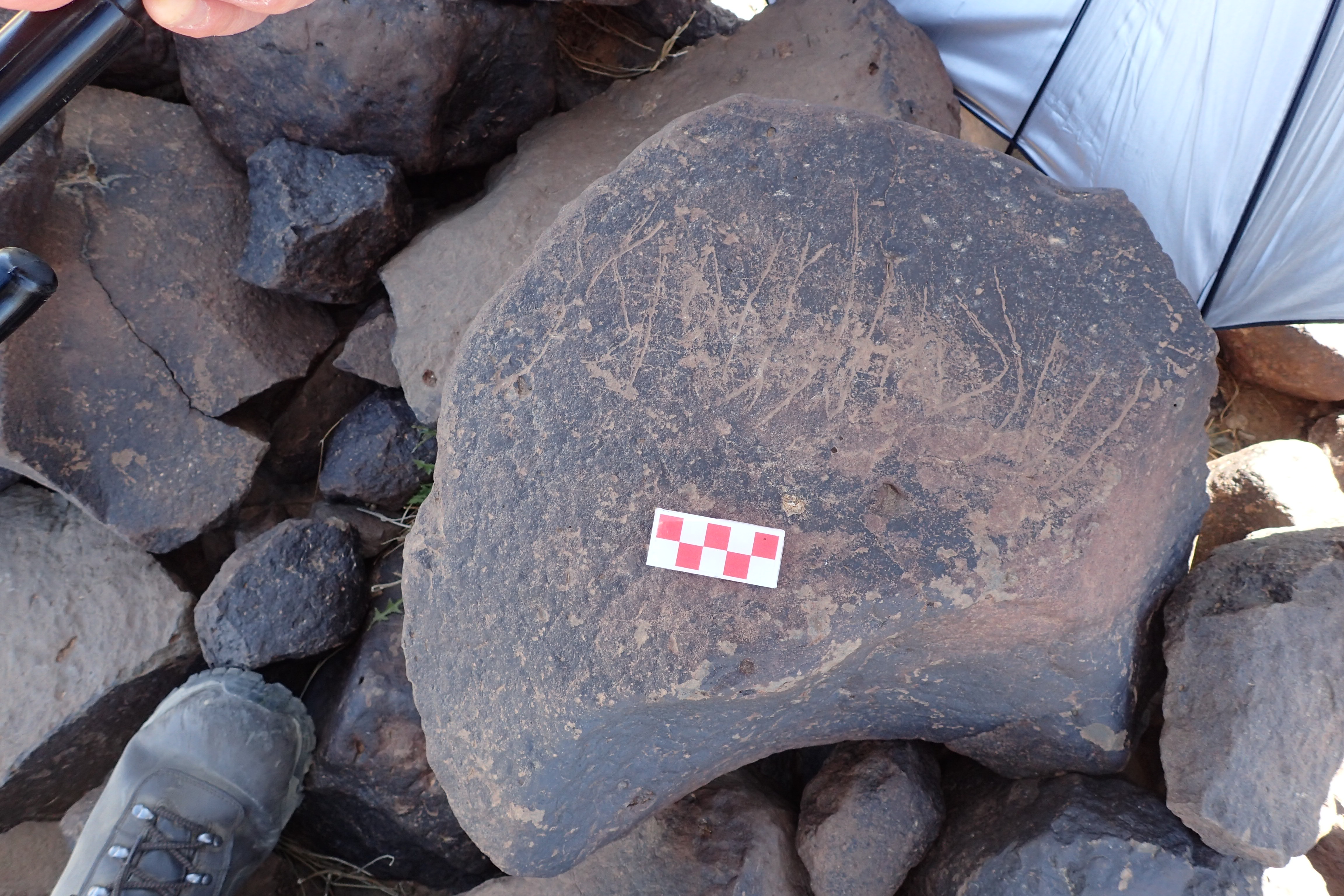 Image of siglum BES20 1546