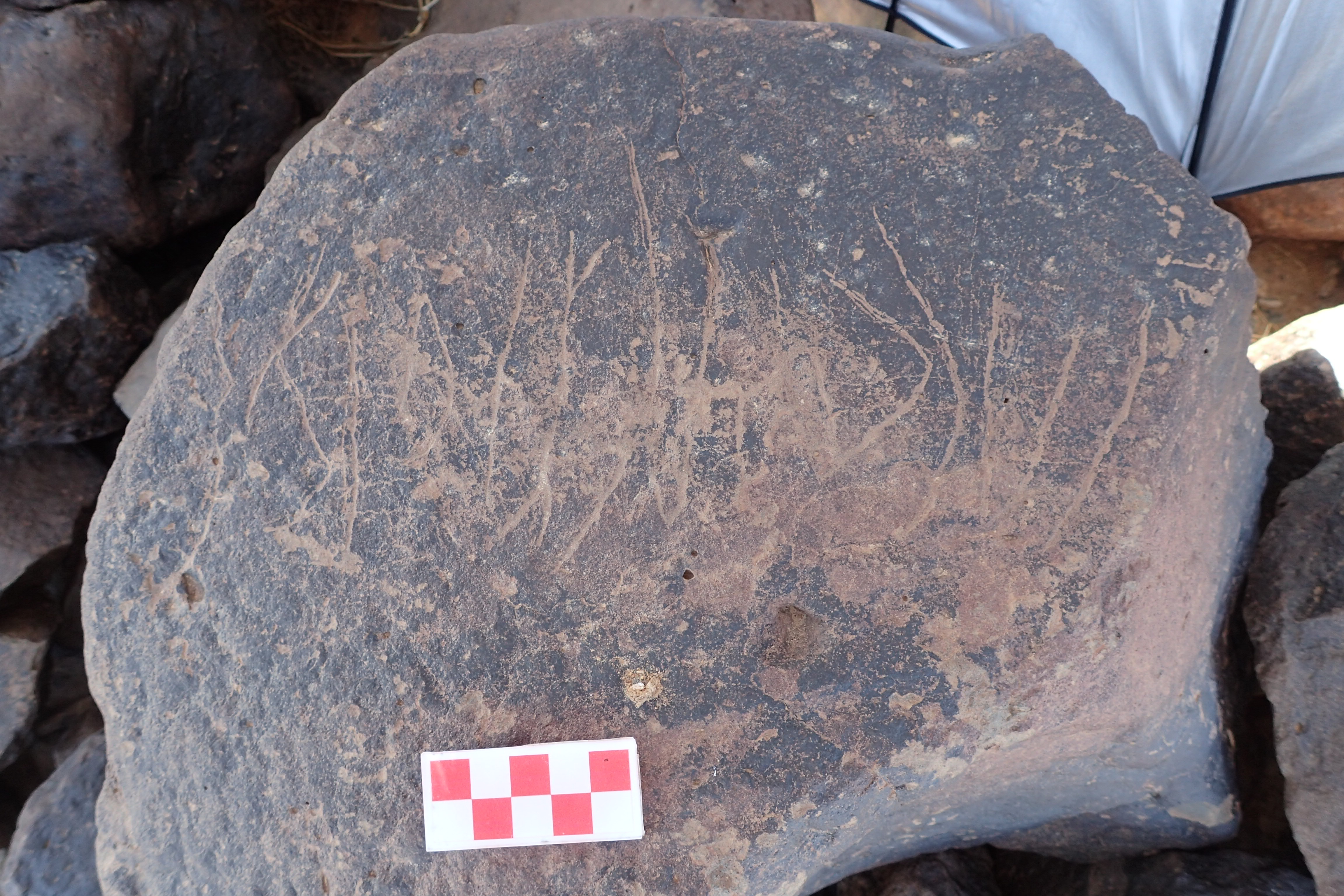 Image of siglum BES20 1546