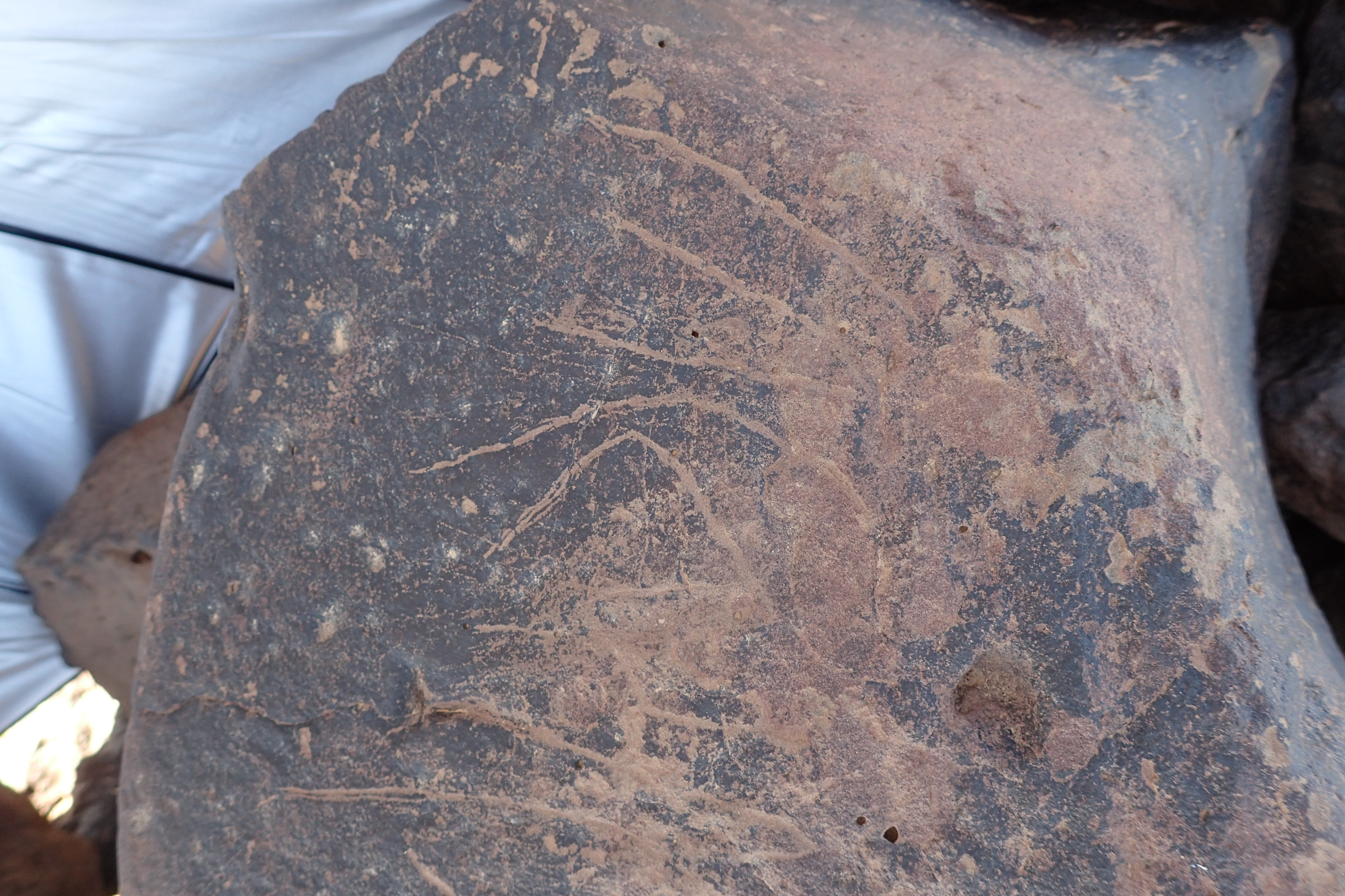 Image of siglum BES20 1546