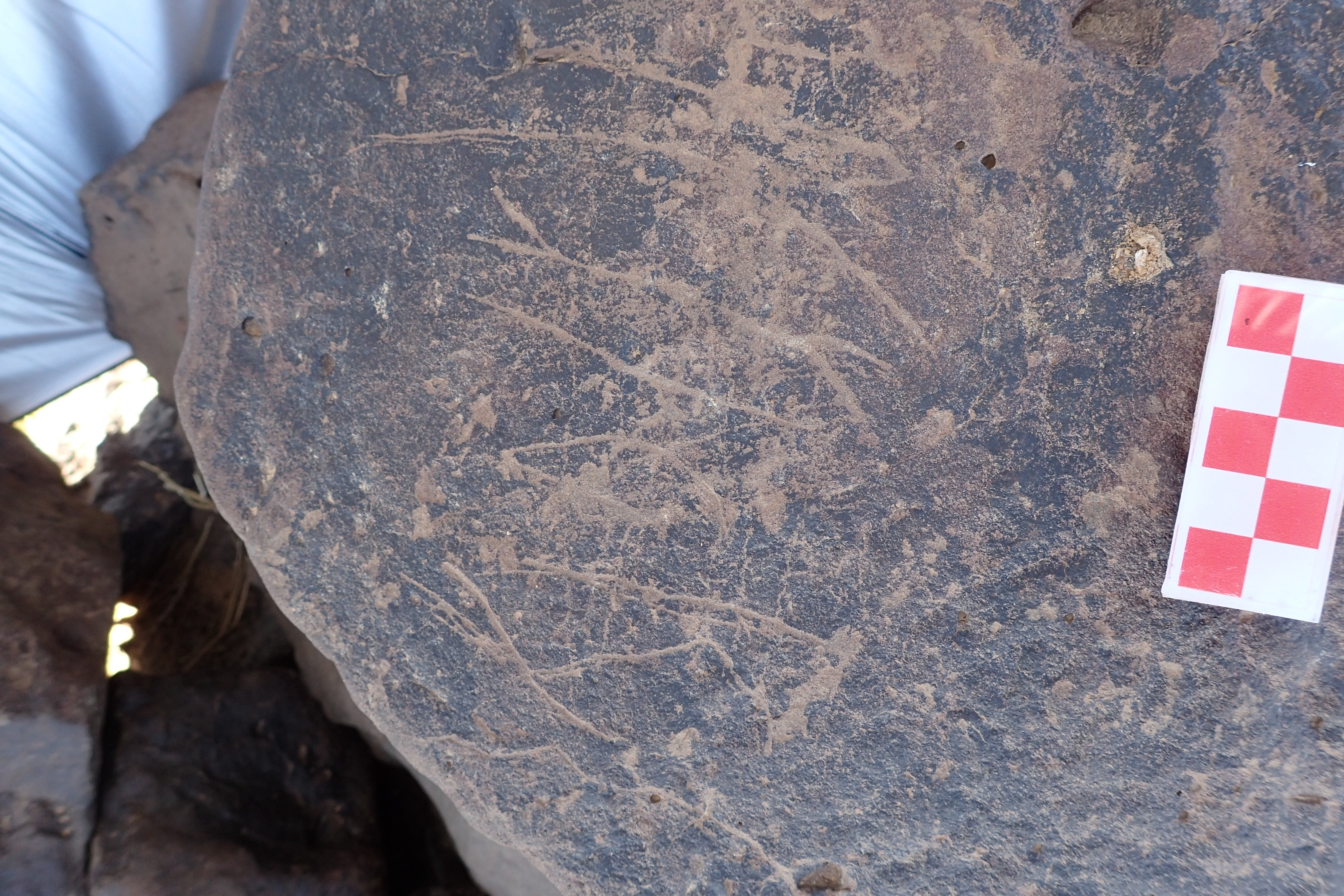 Image of siglum BES20 1546