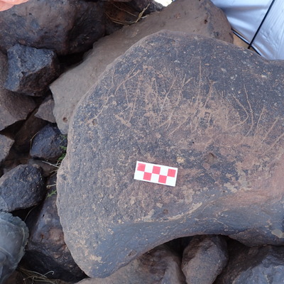 Image of siglum BES20 1546