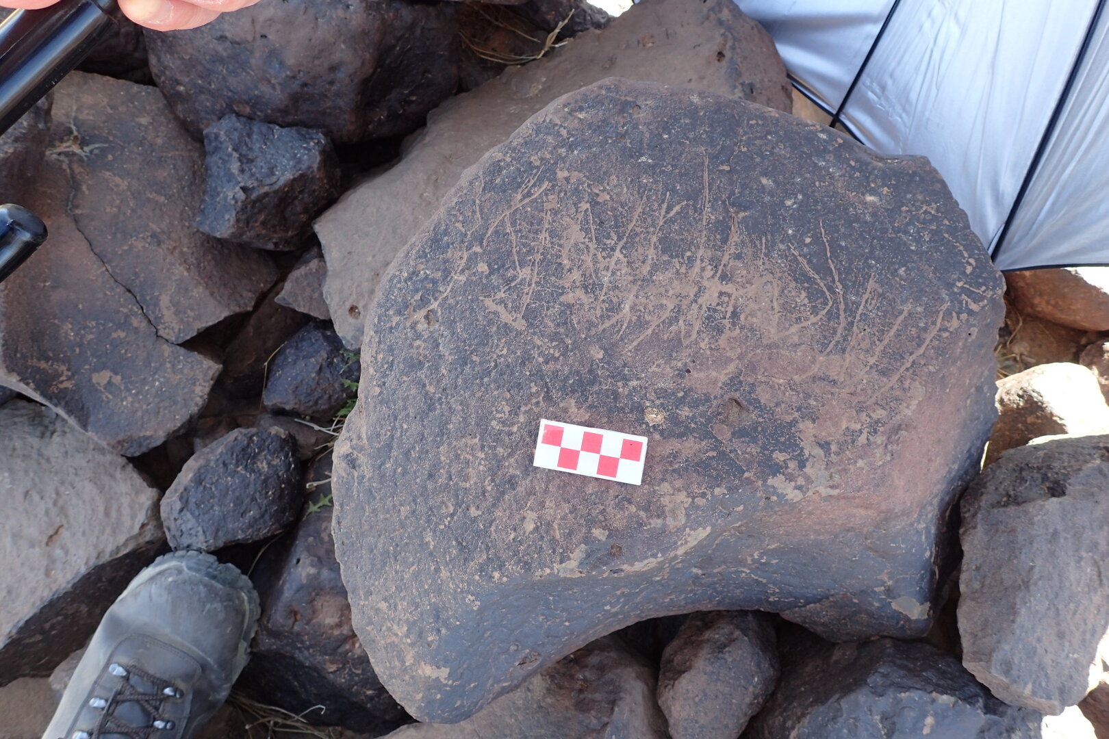 Image of siglum BES20 1546