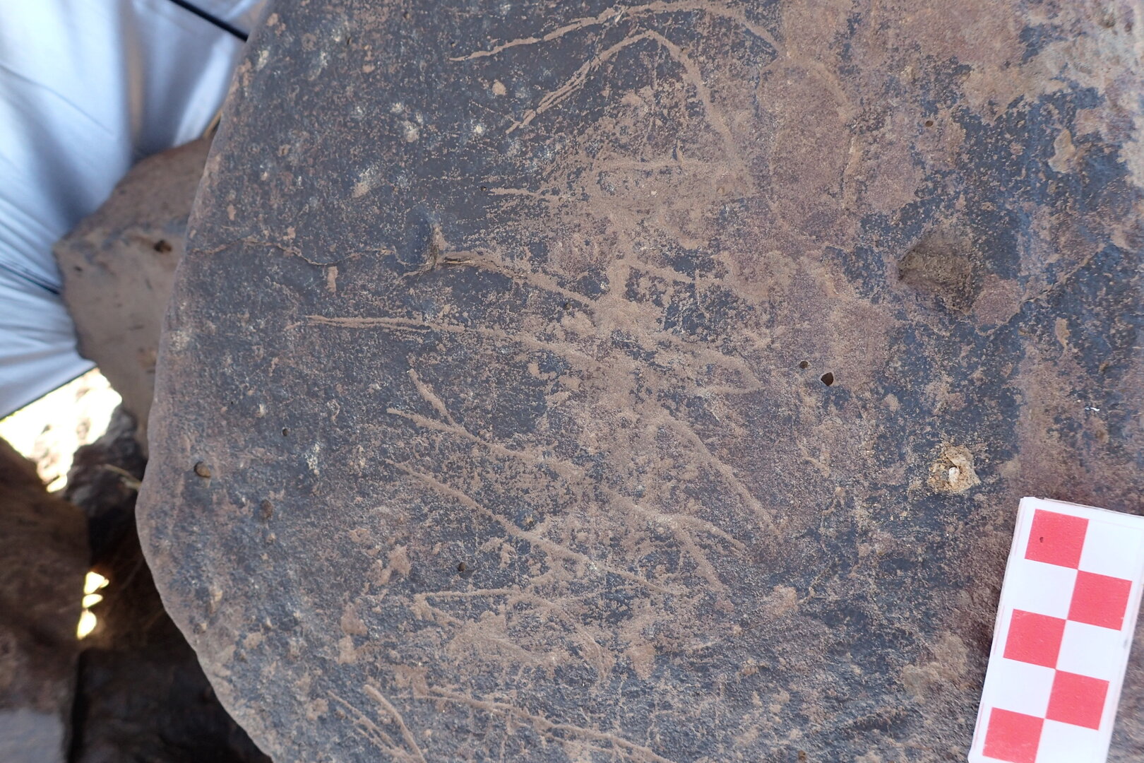 Image of siglum BES20 1546