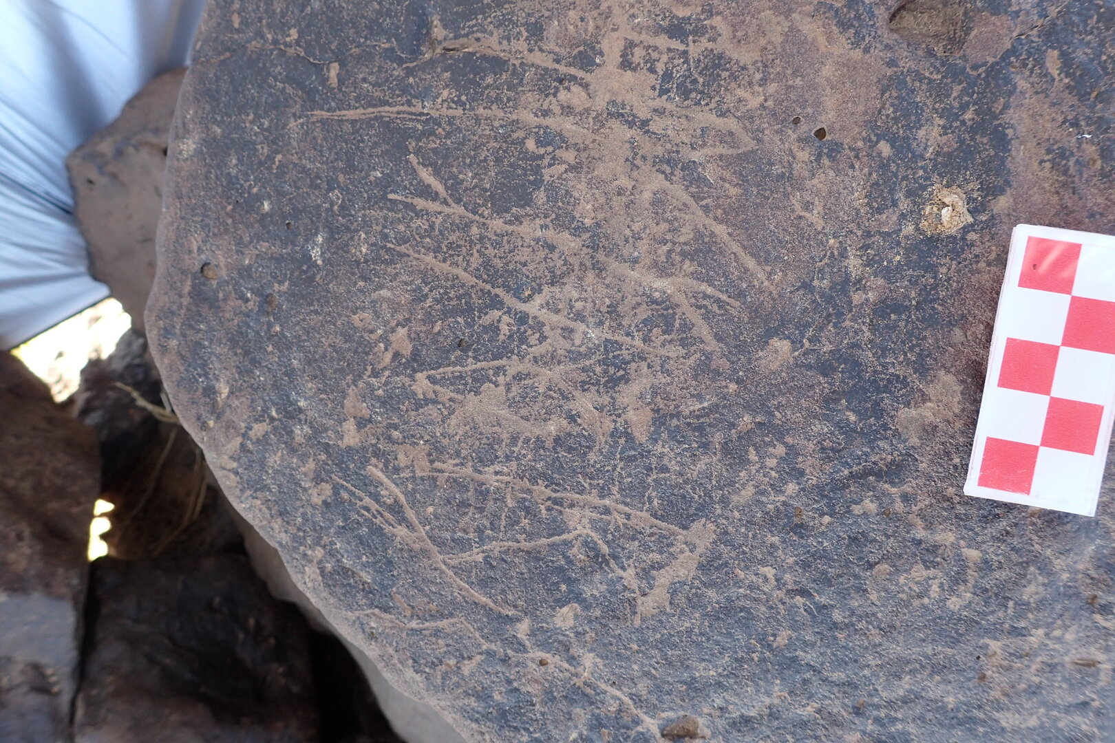 Image of siglum BES20 1546
