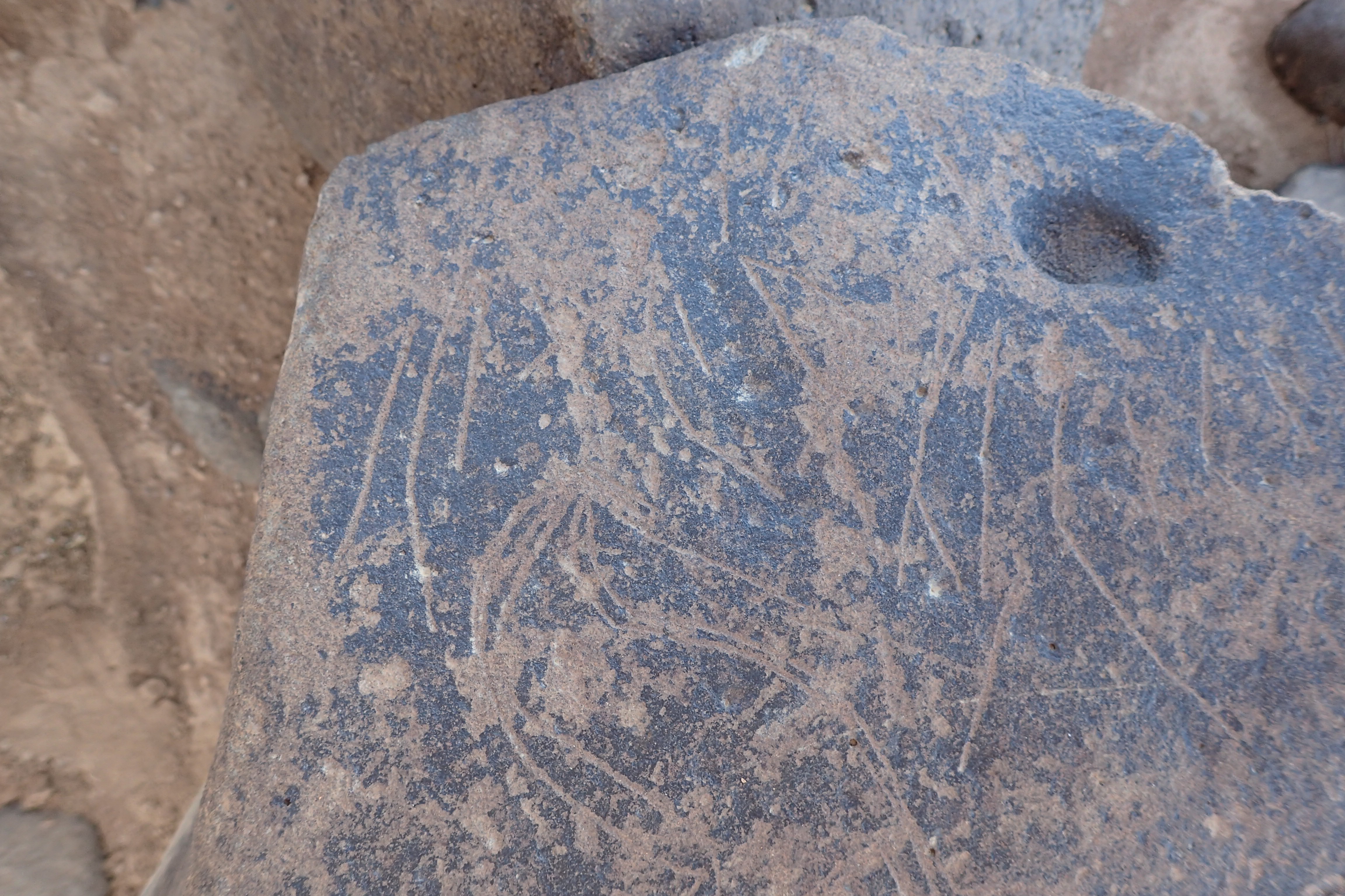 Image of siglum BES20 1547