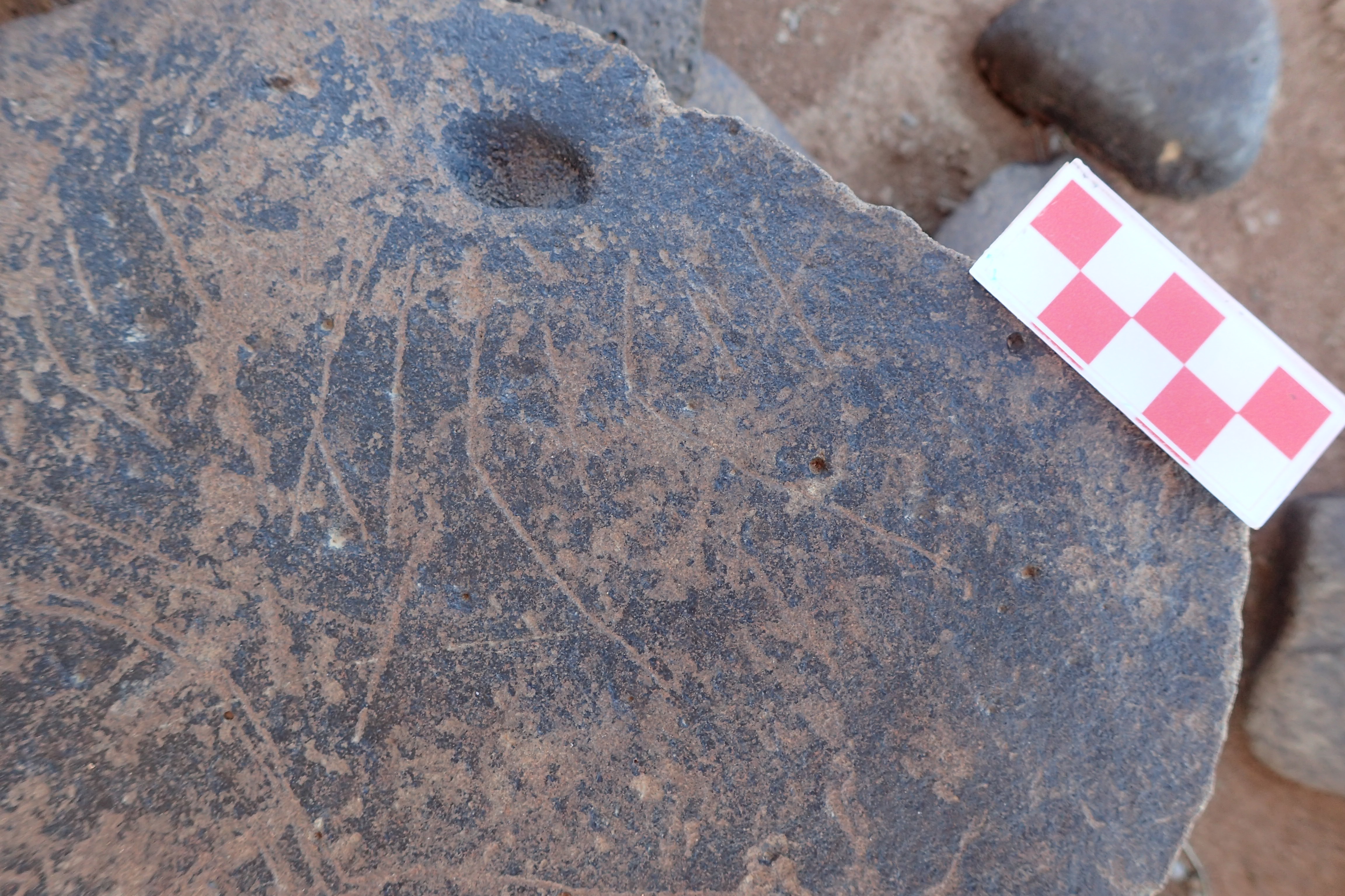 Image of siglum BES20 1547