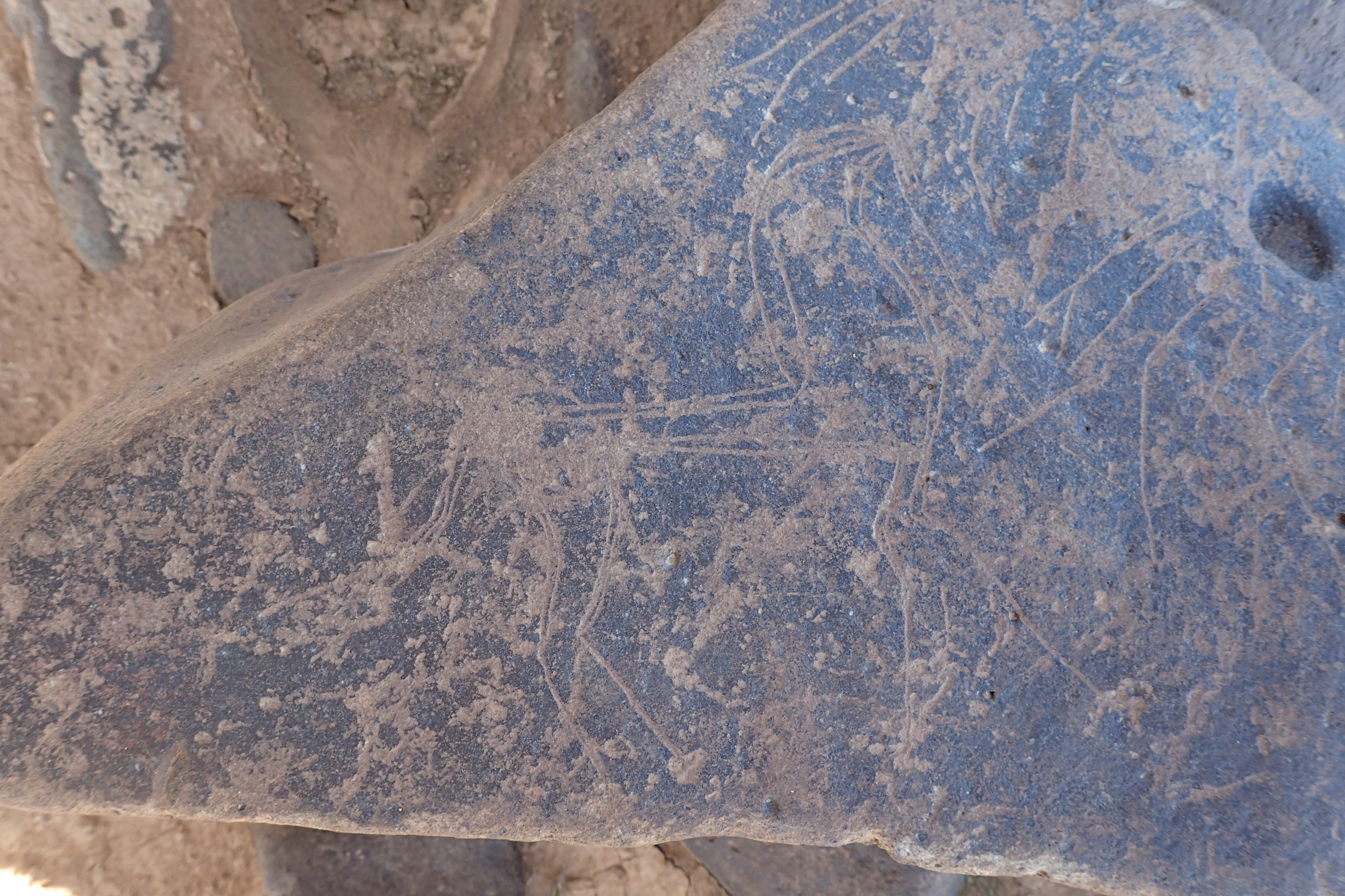 Image of siglum BES20 1547