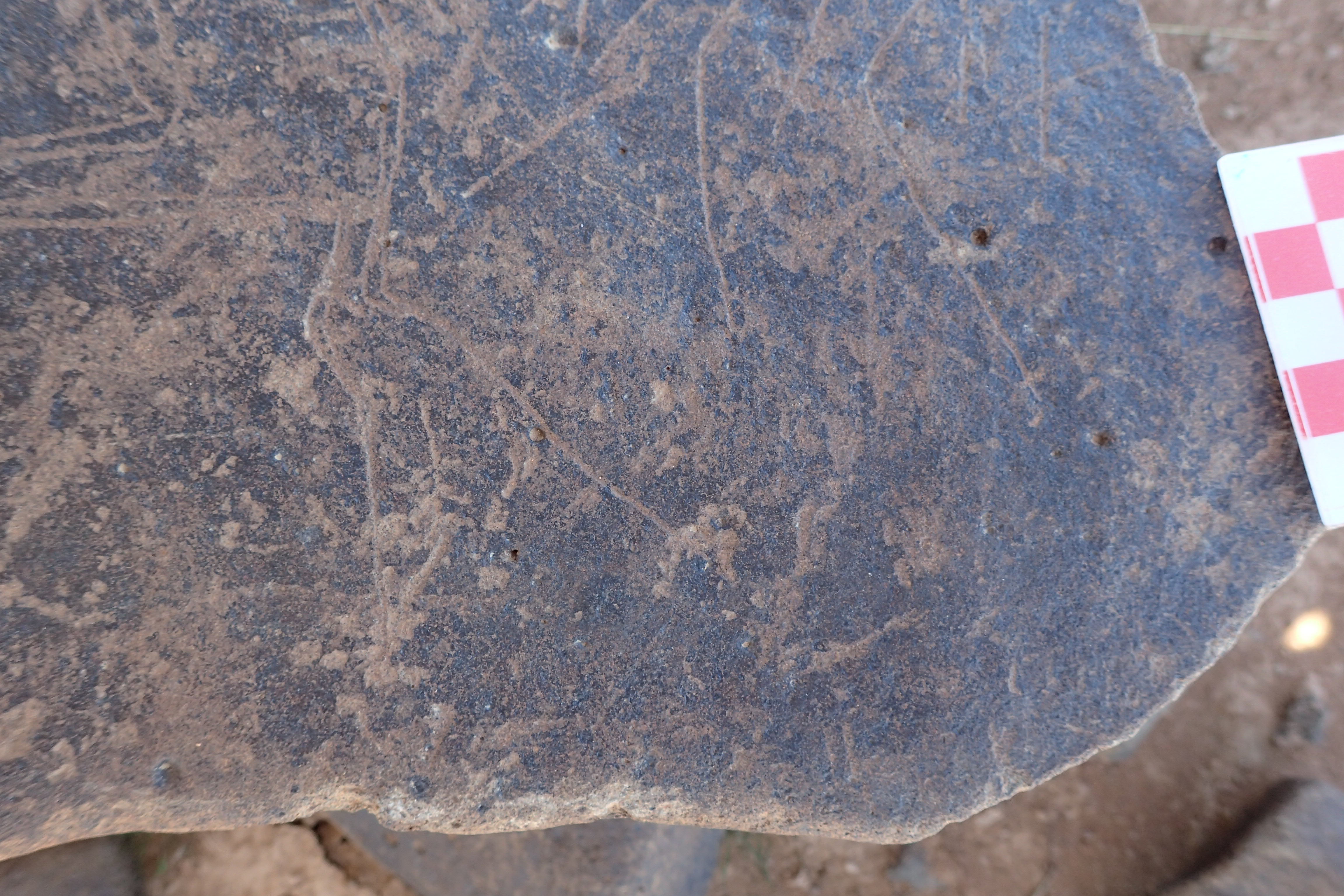 Image of siglum BES20 1547