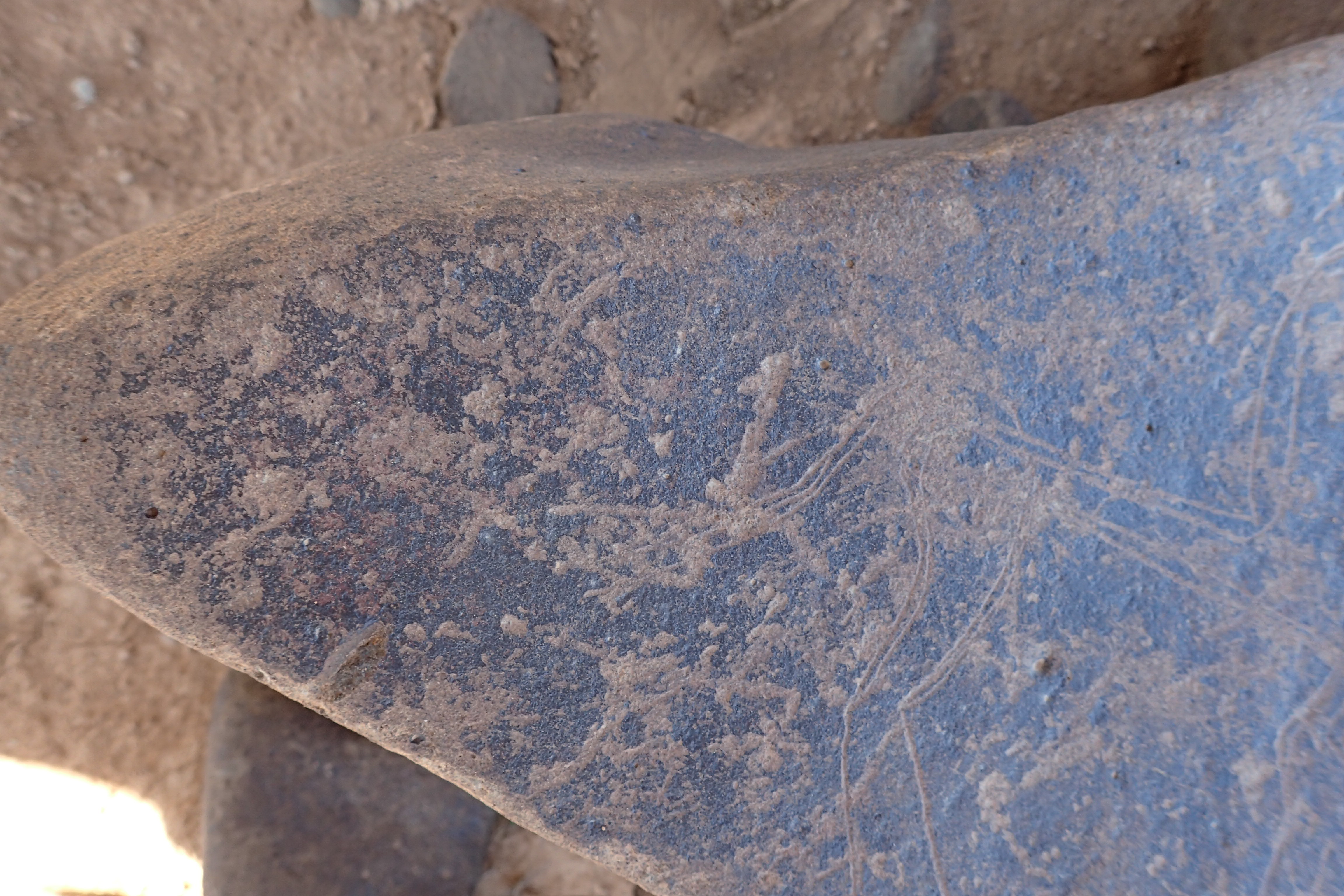 Image of siglum BES20 1547