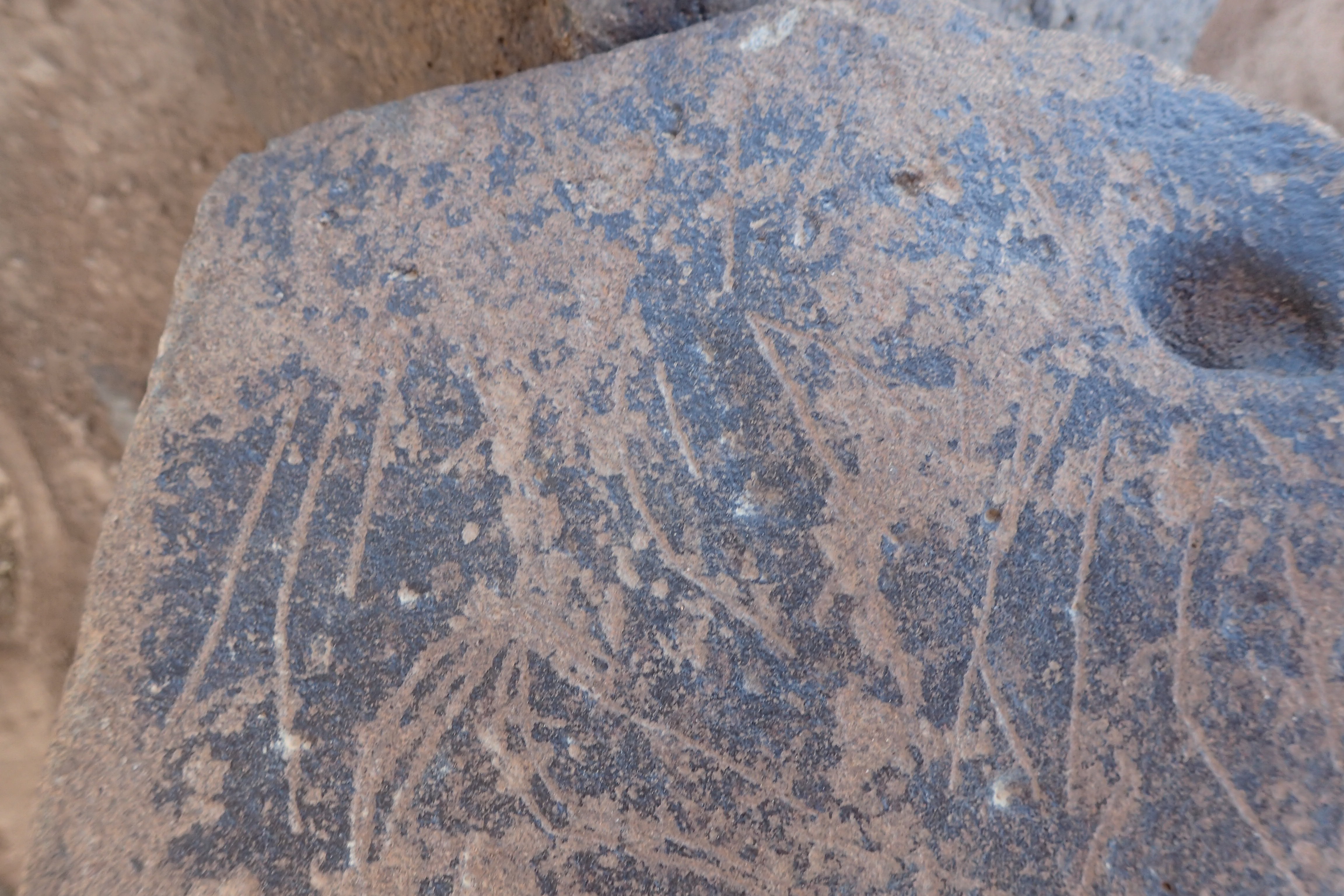 Image of siglum BES20 1547