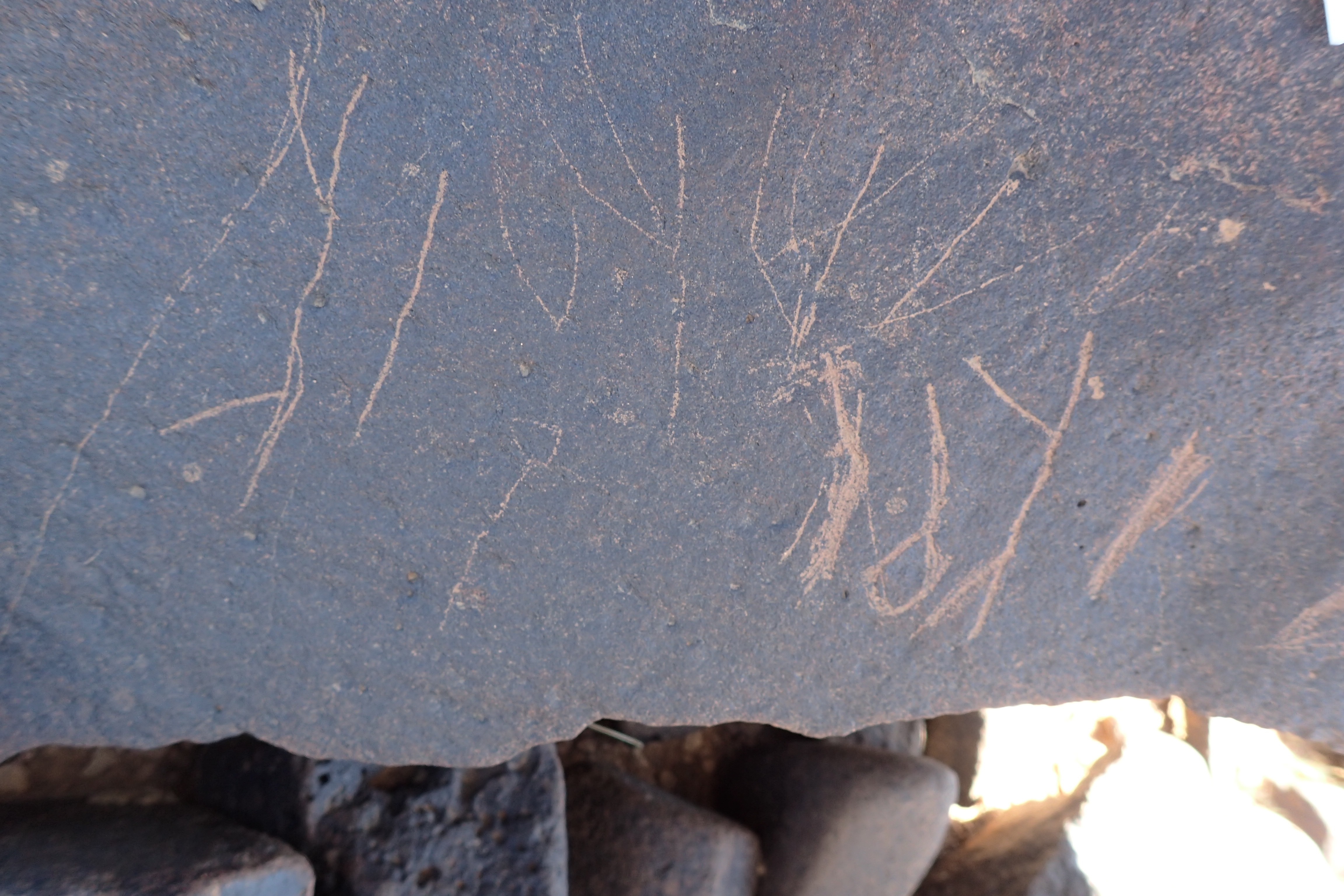 Image of siglum BES20 1551