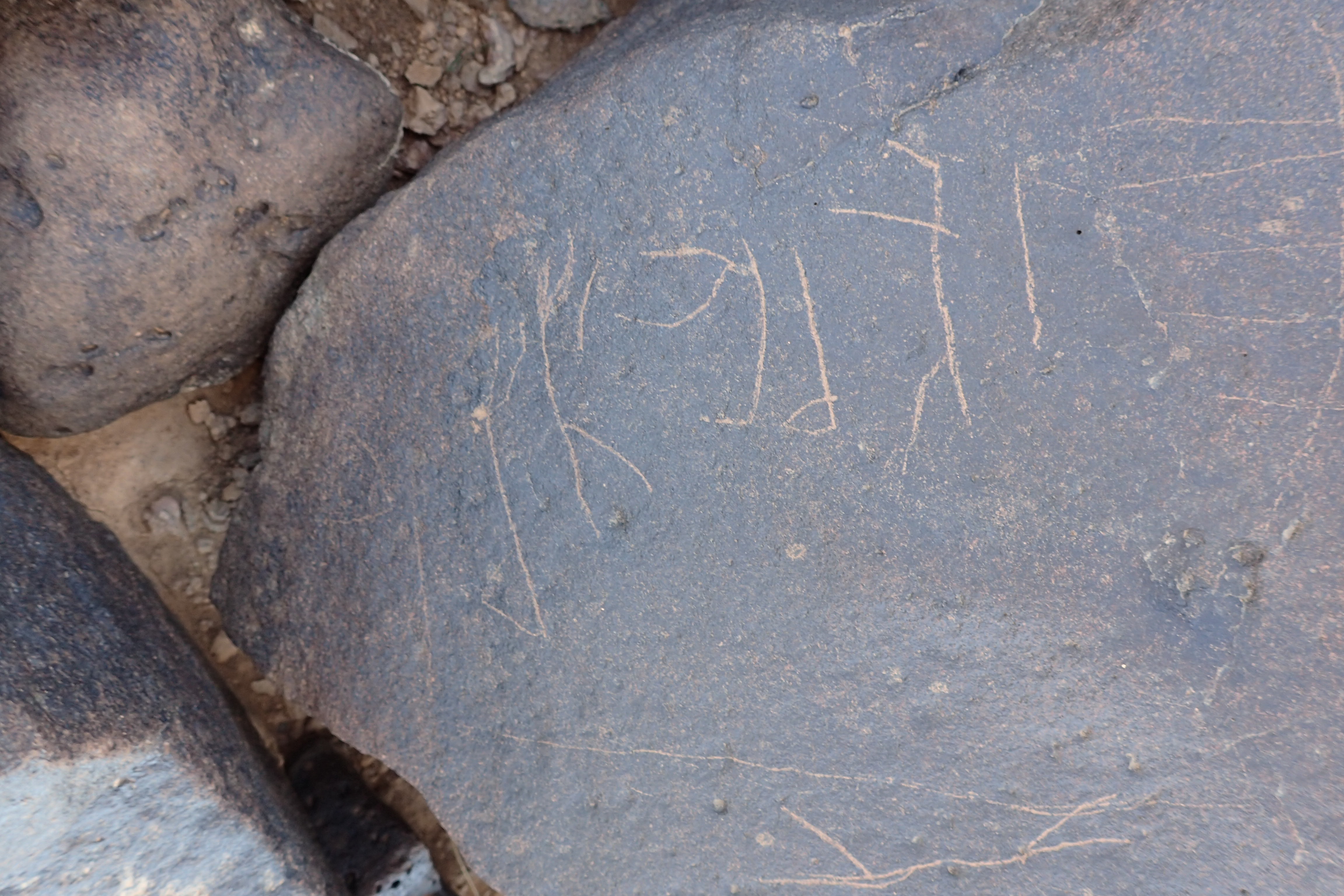 Image of siglum BES20 1555