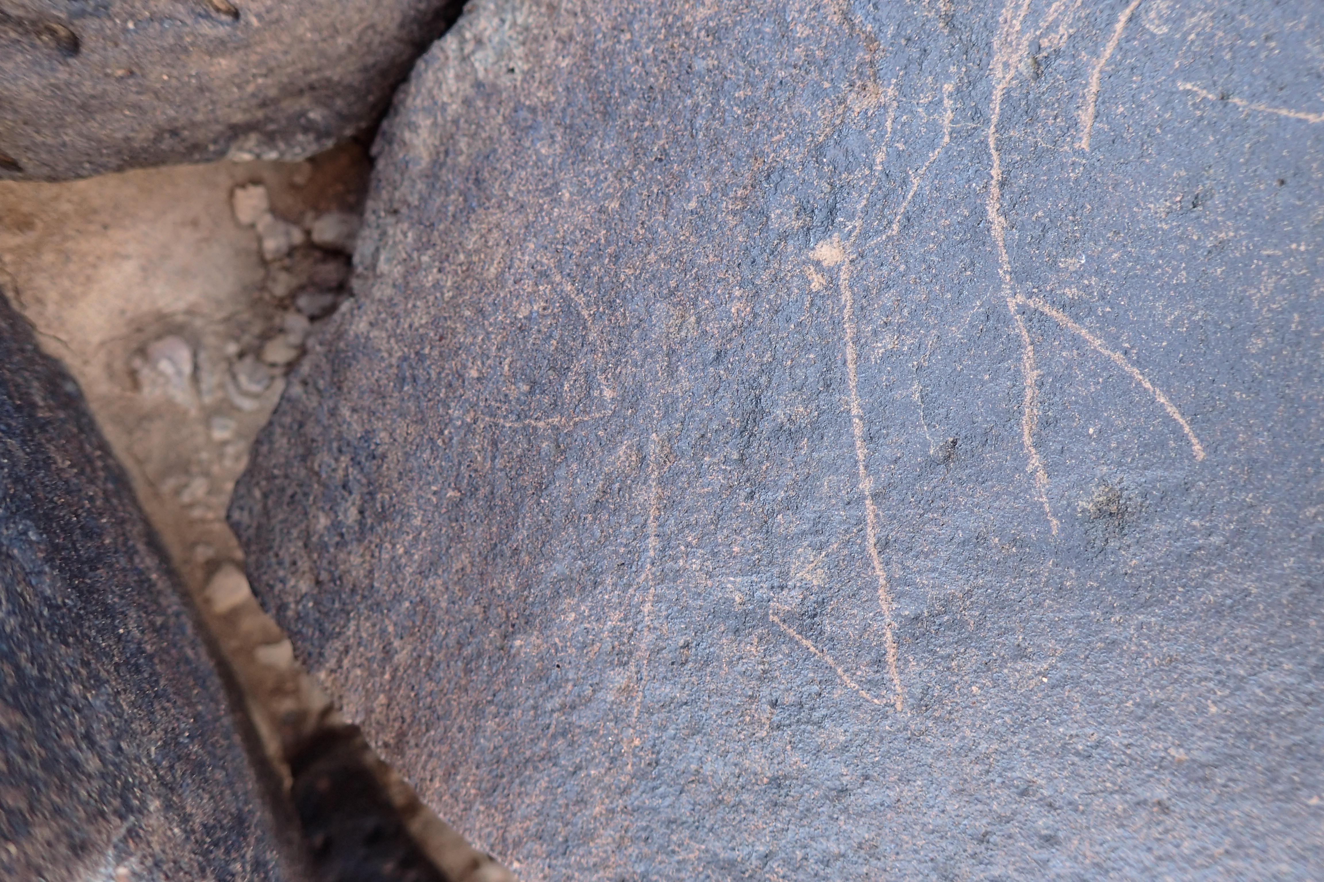 Image of siglum BES20 1555