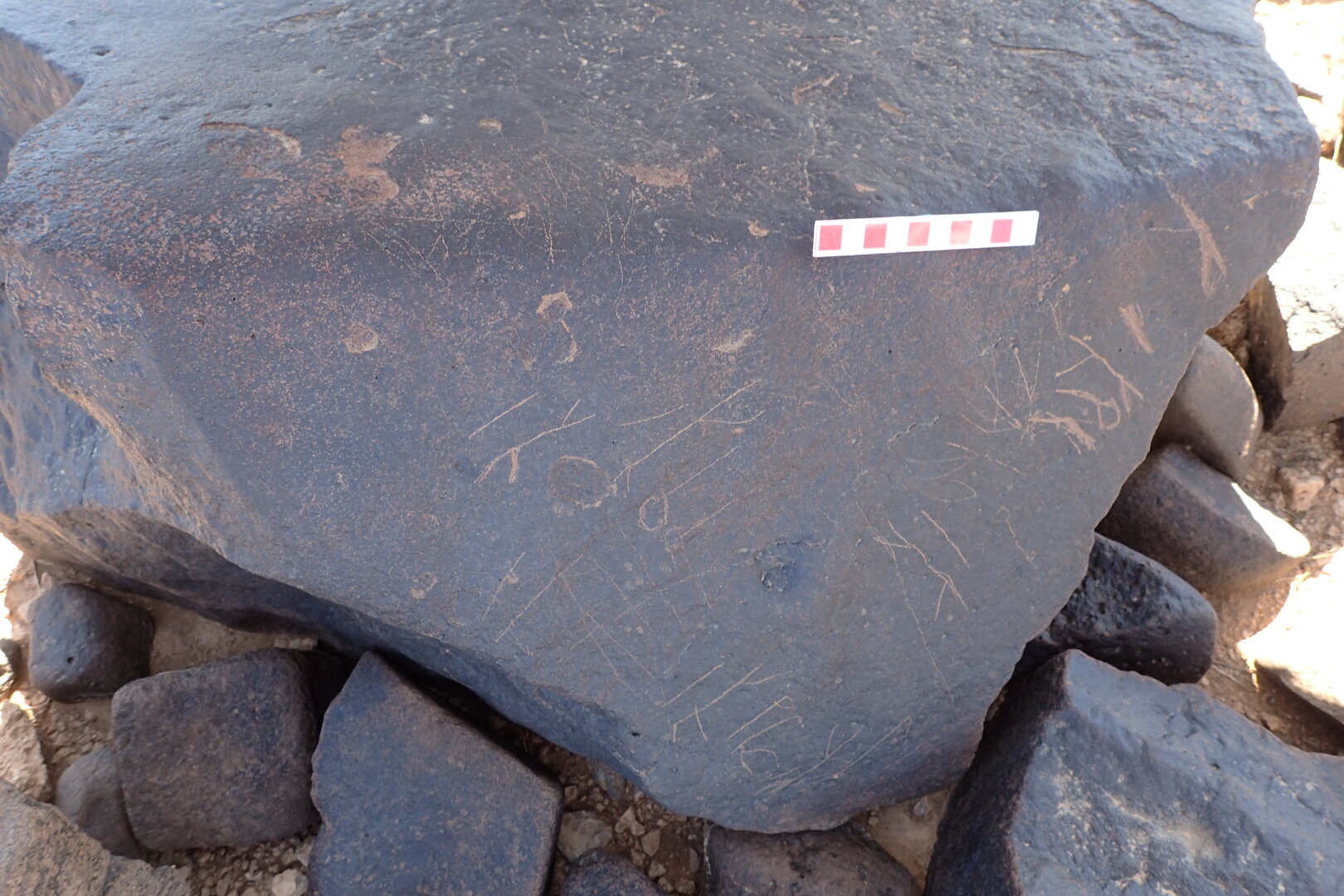 Image of siglum BES20 1555