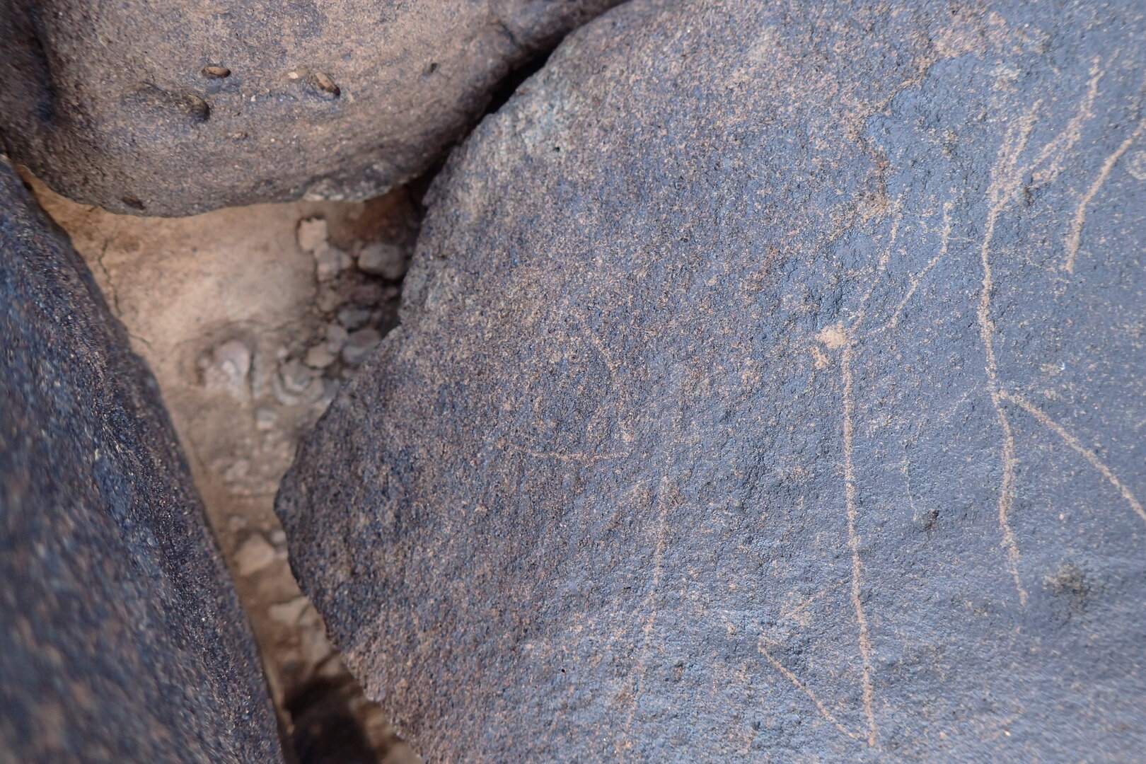 Image of siglum BES20 1555