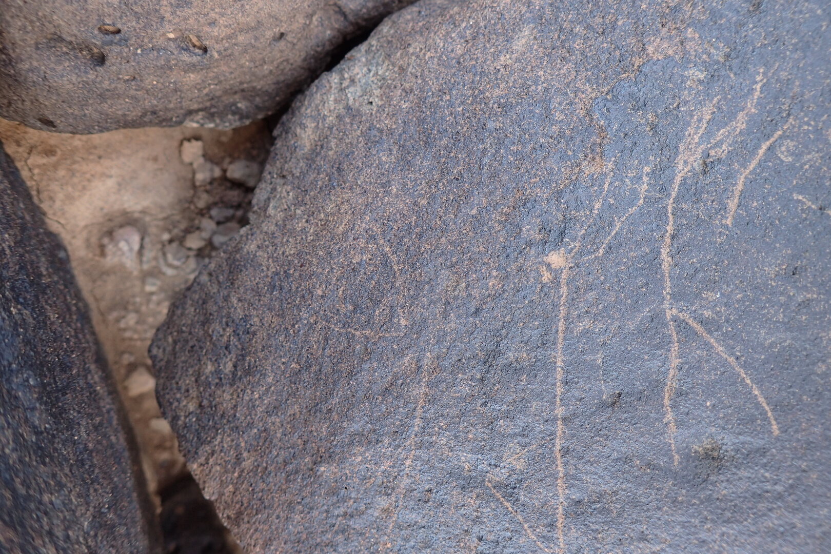 Image of siglum BES20 1555