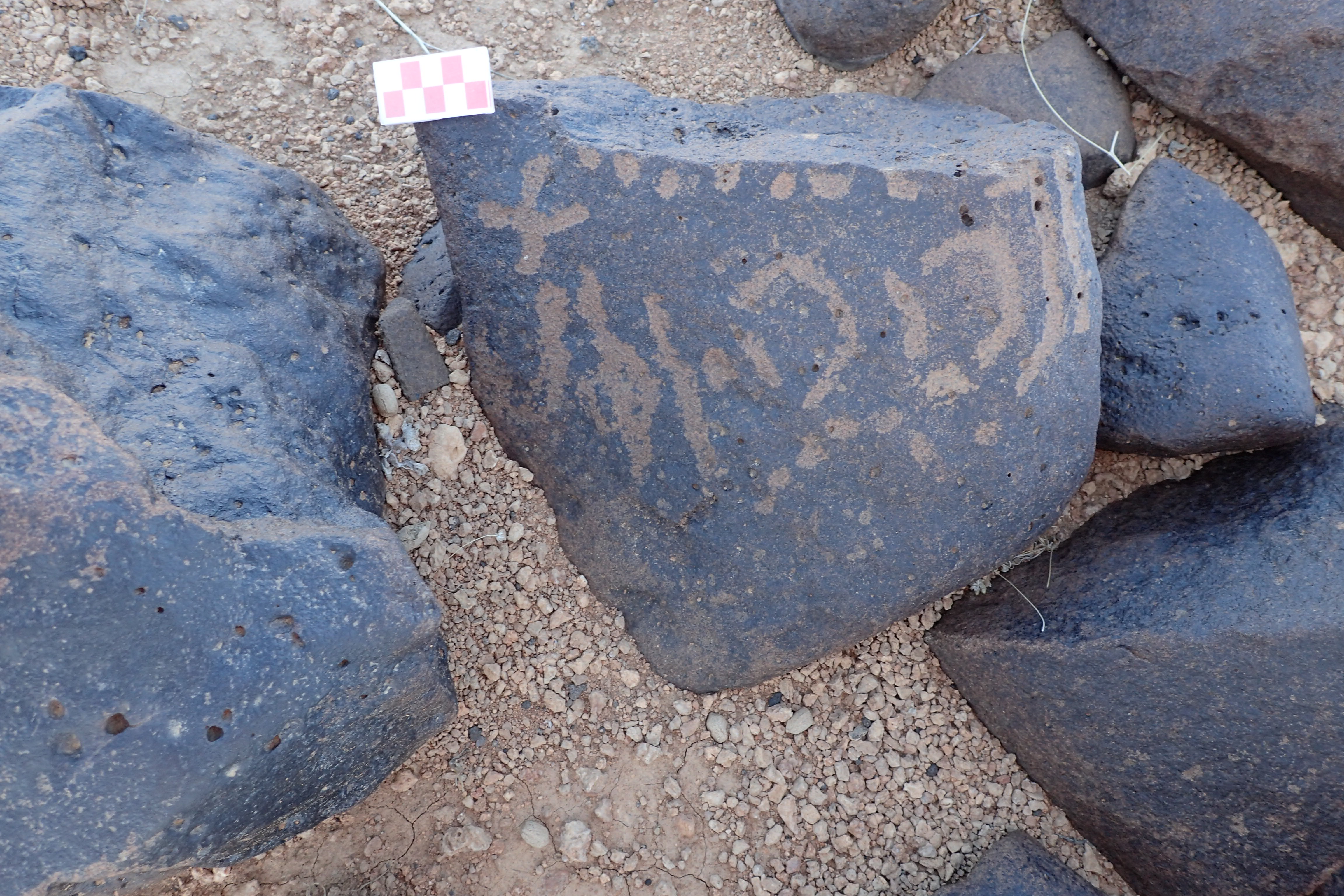 Image of siglum BES20 1556