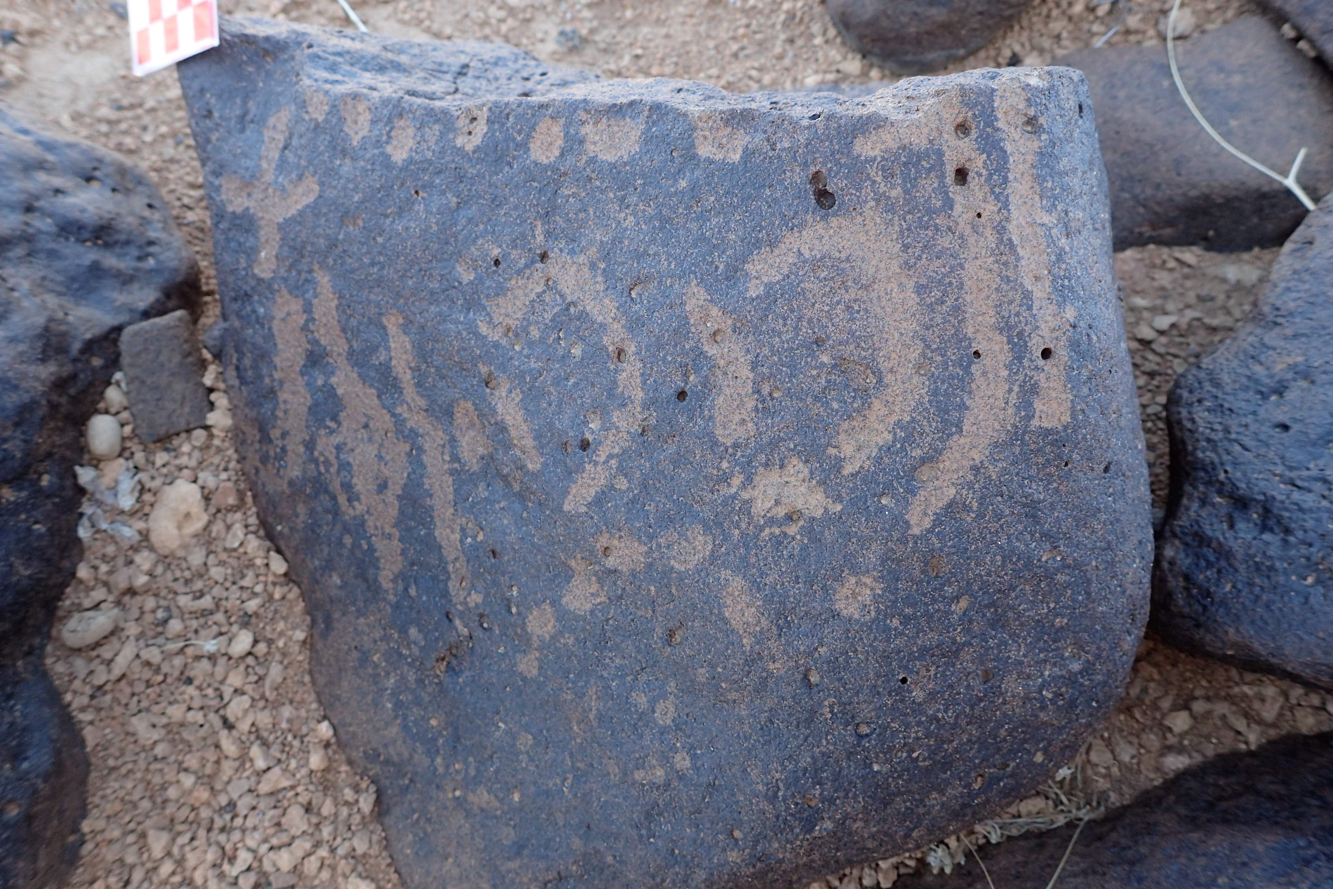 Image of siglum BES20 1556