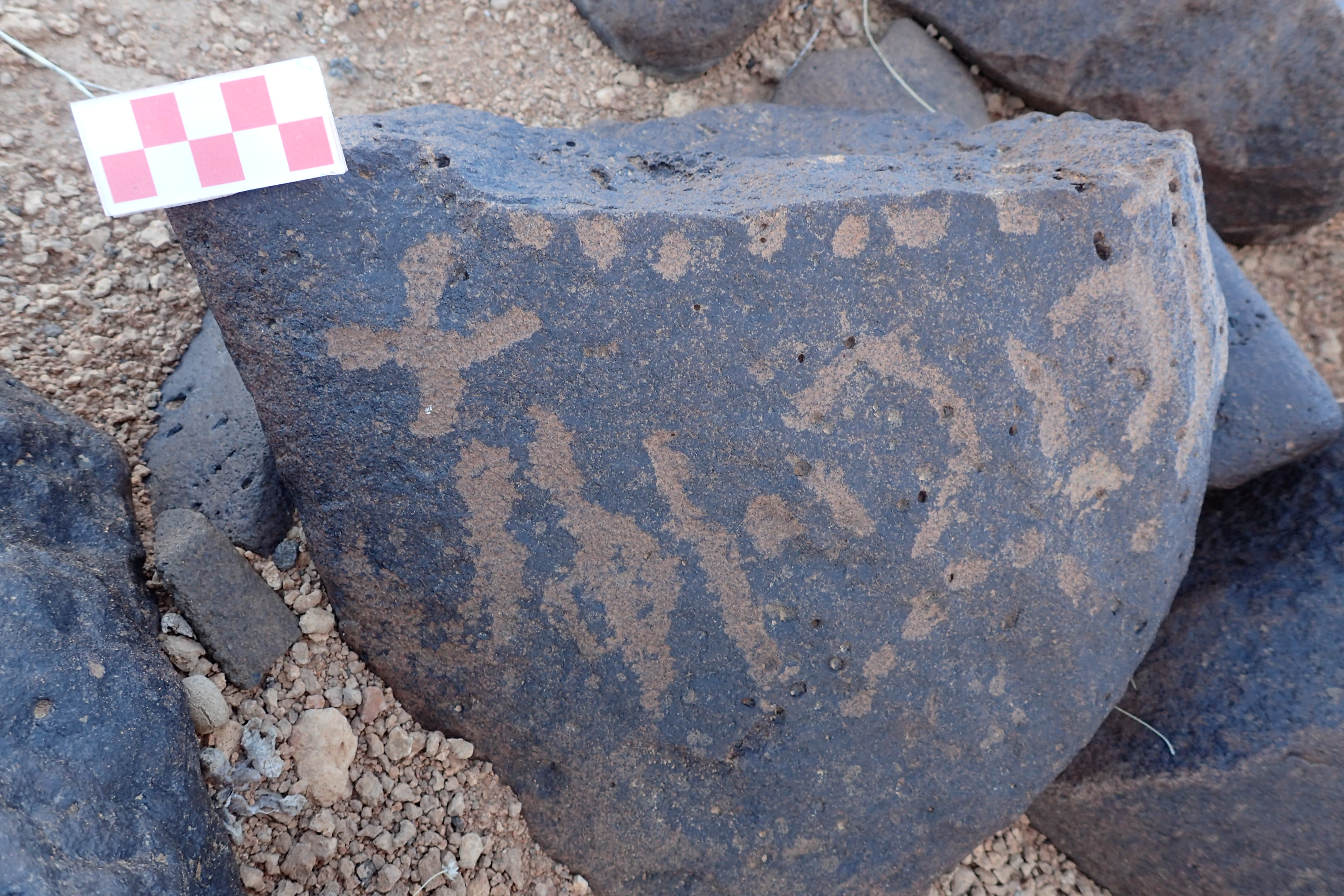 Image of siglum BES20 1556