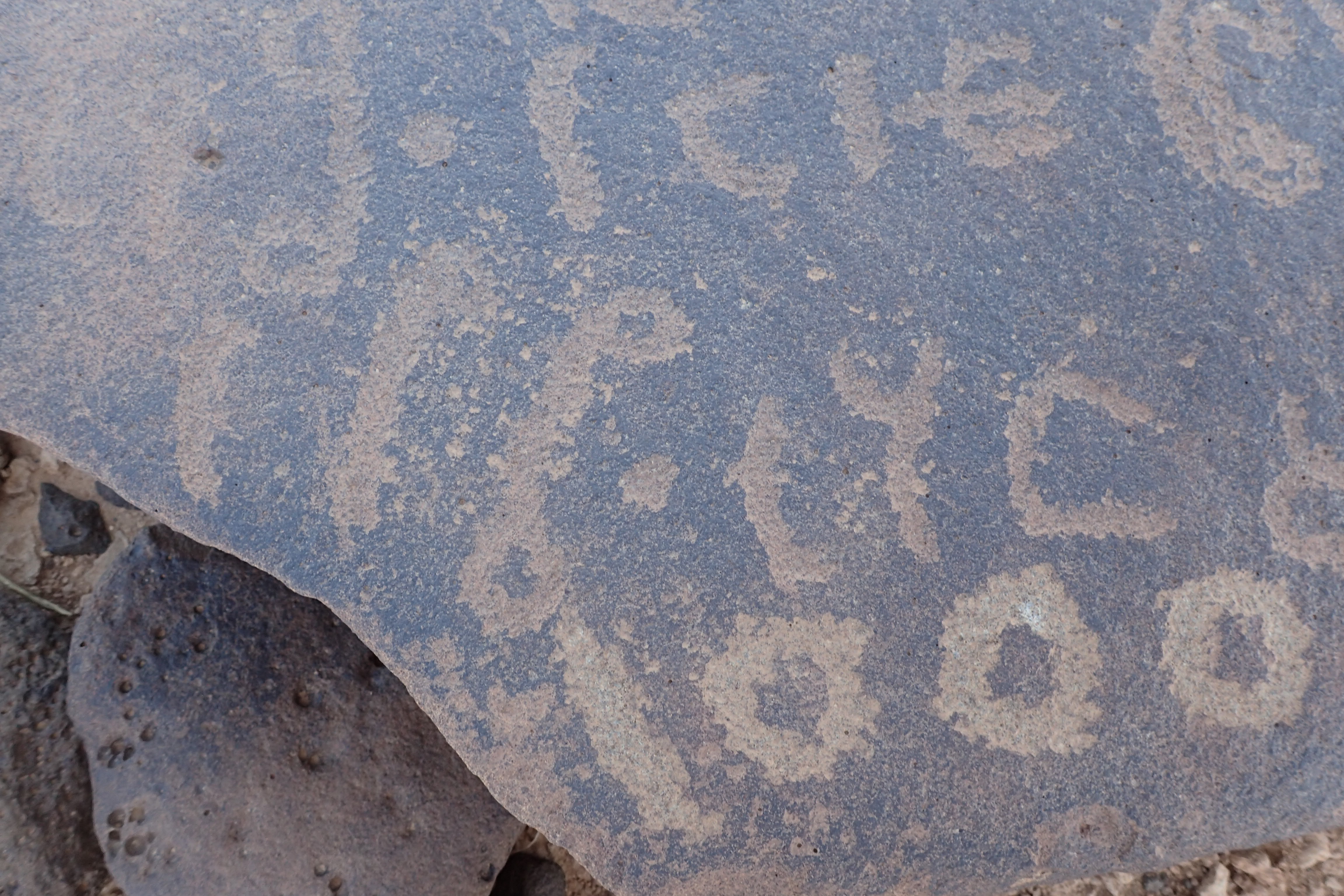 Image of siglum BES20 1557