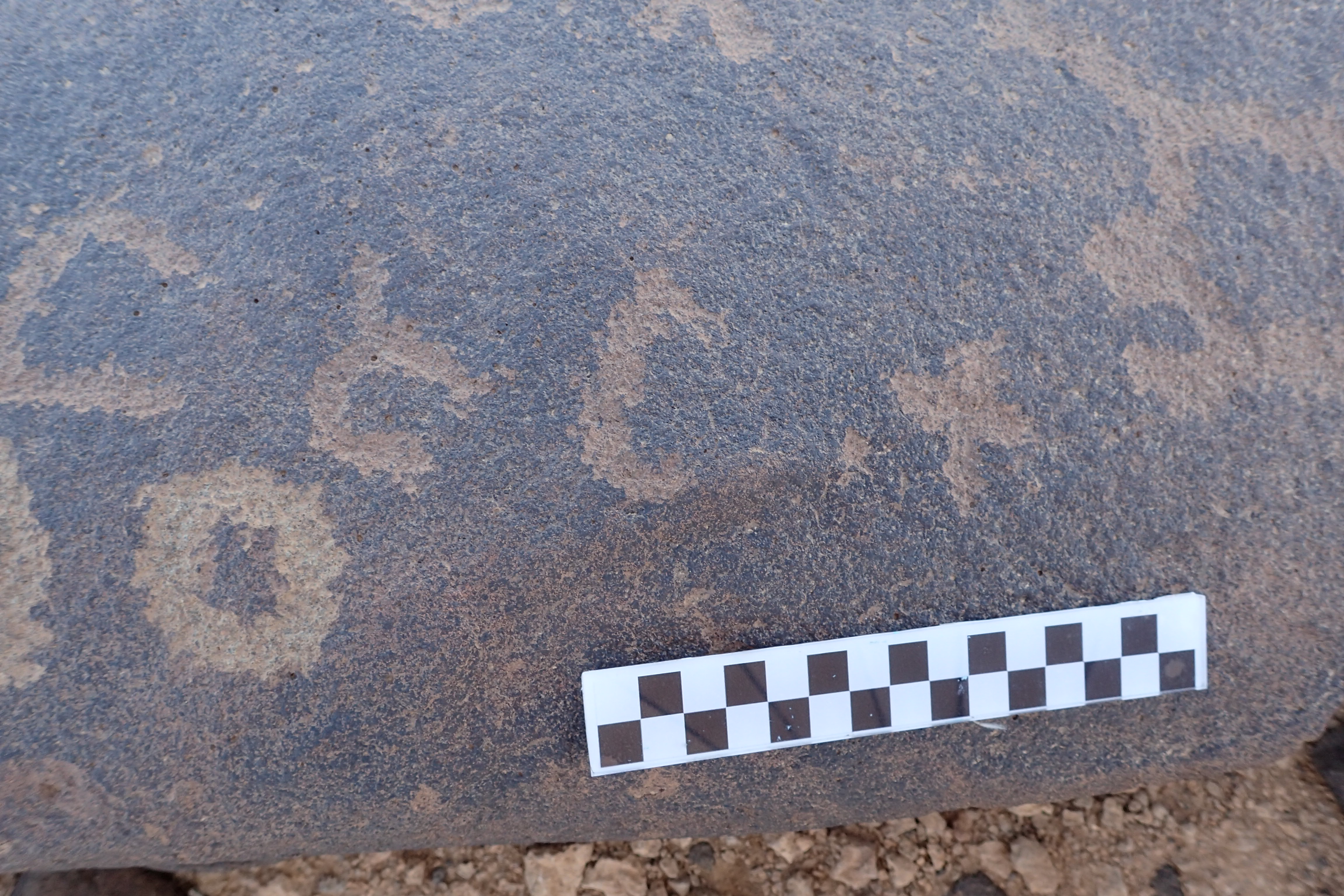 Image of siglum BES20 1557