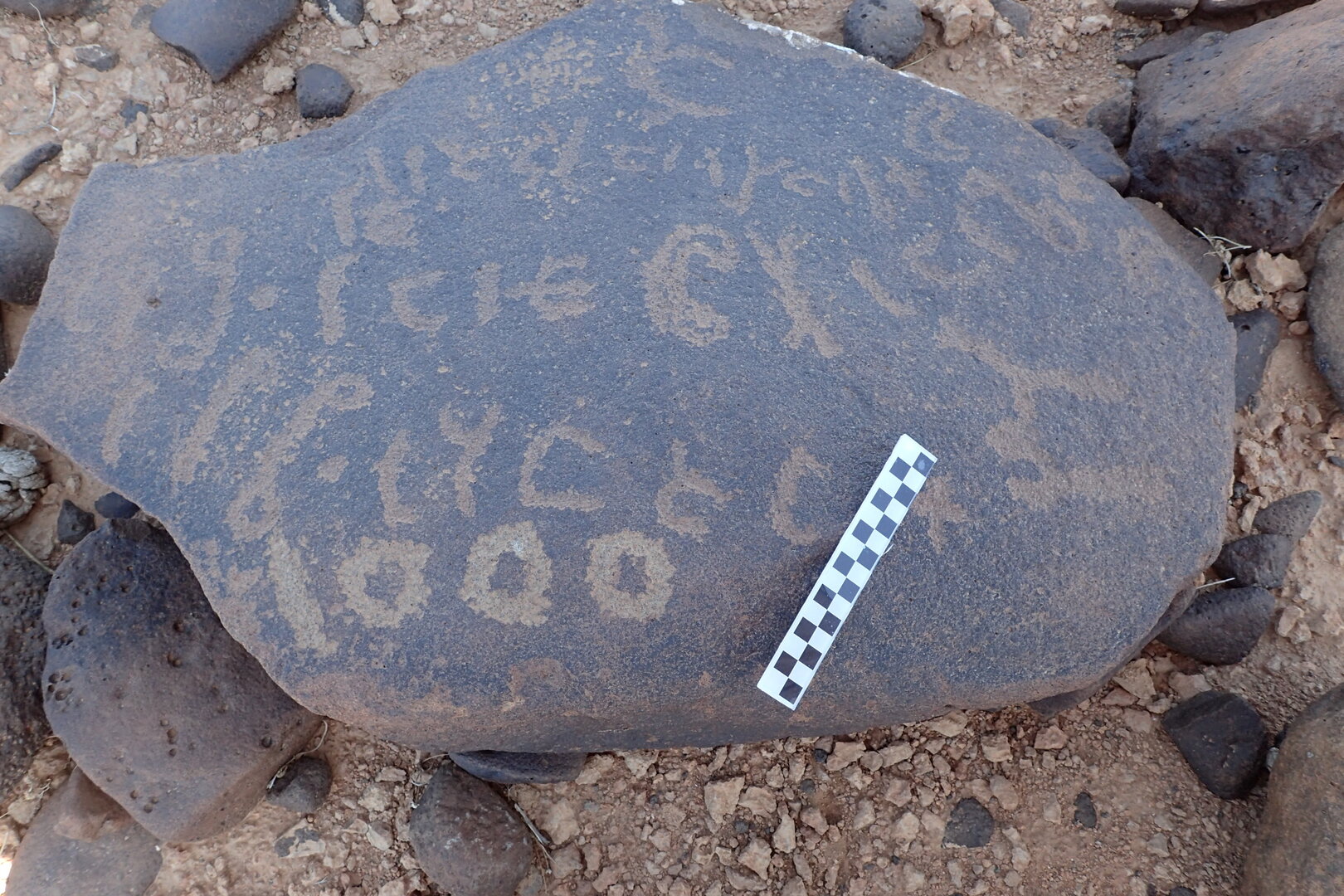 Image of siglum BES20 1557