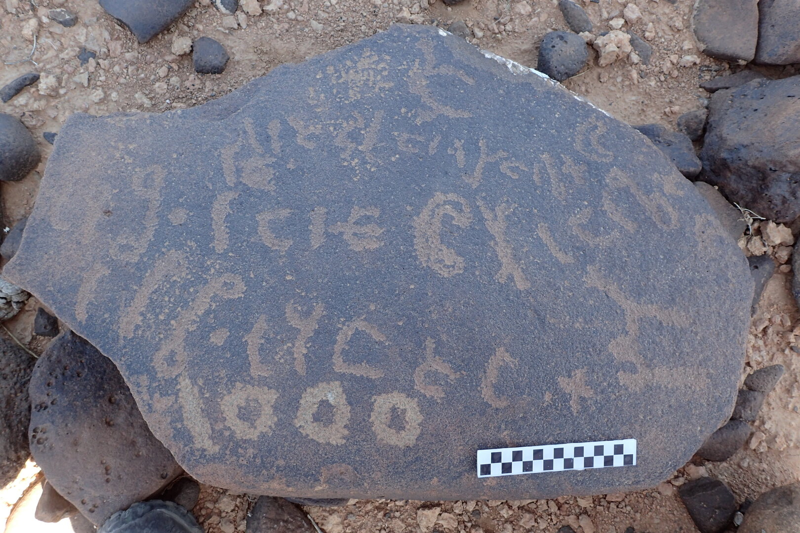 Image of siglum BES20 1557