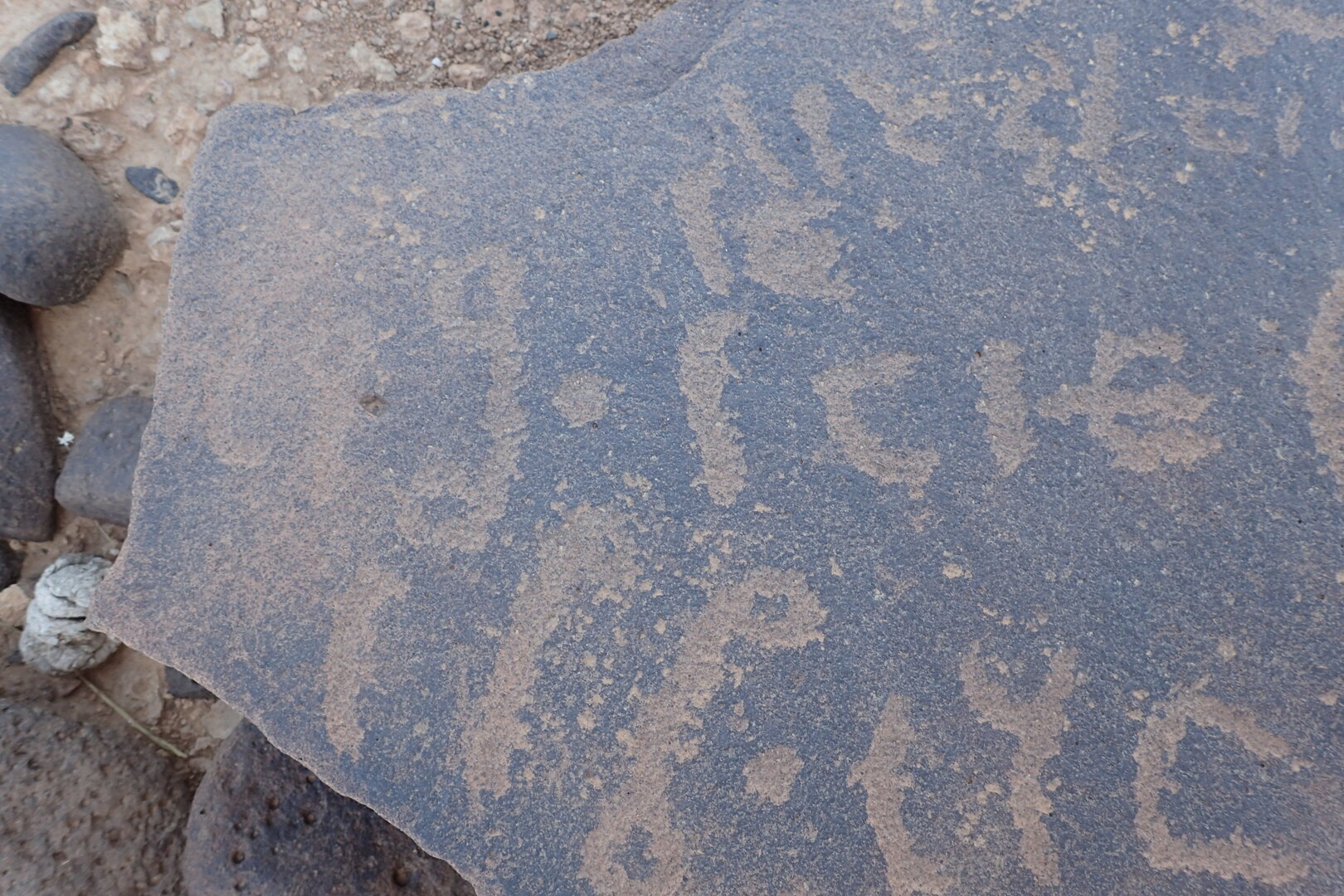Image of siglum BES20 1558