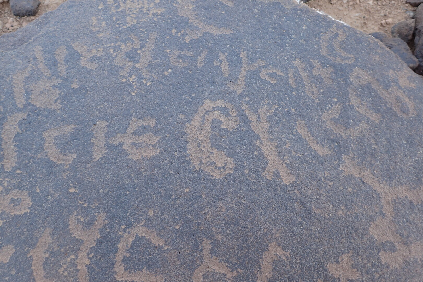 Image of siglum BES20 1558