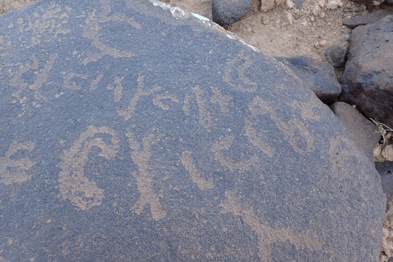Image of siglum BES20 1558